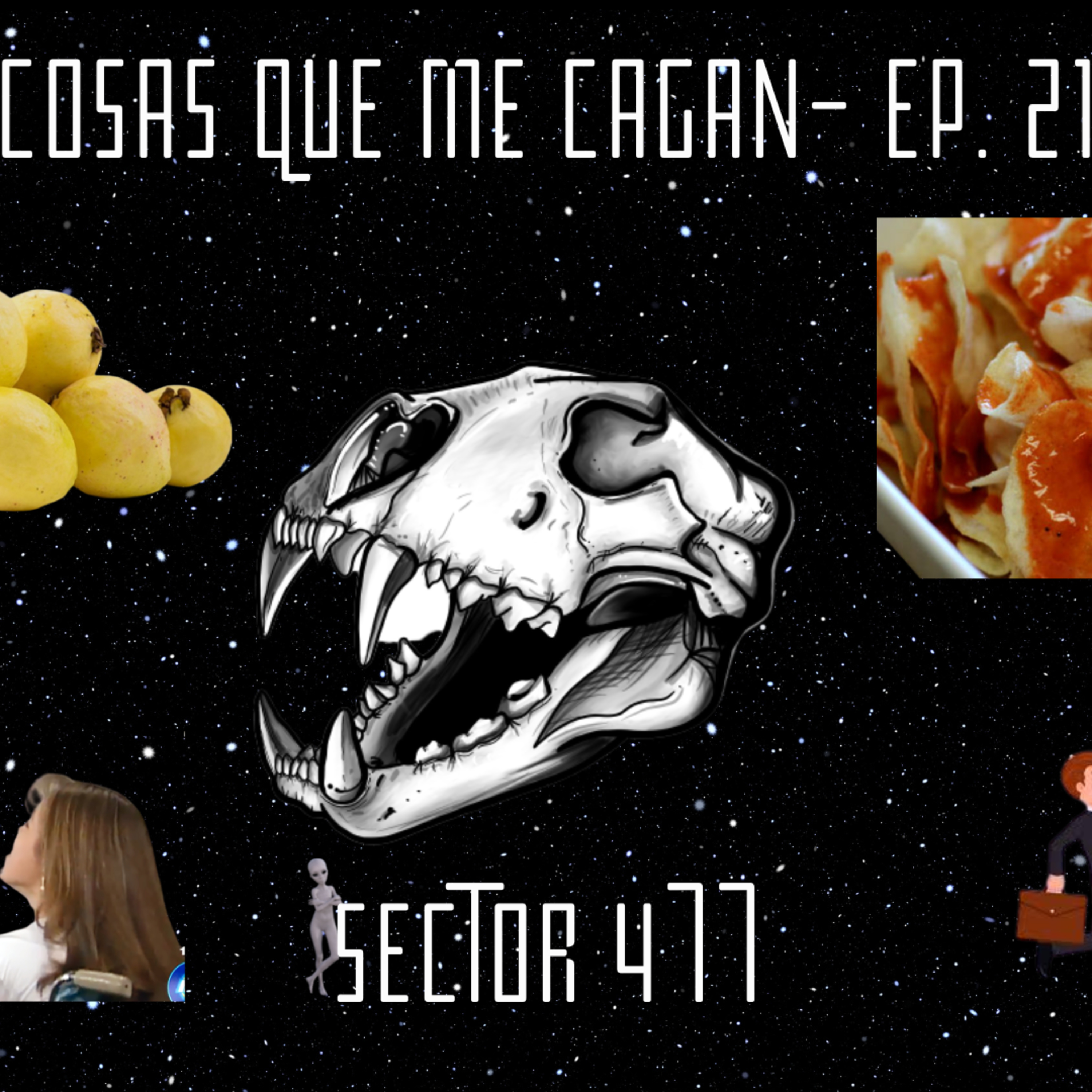 Sector 477