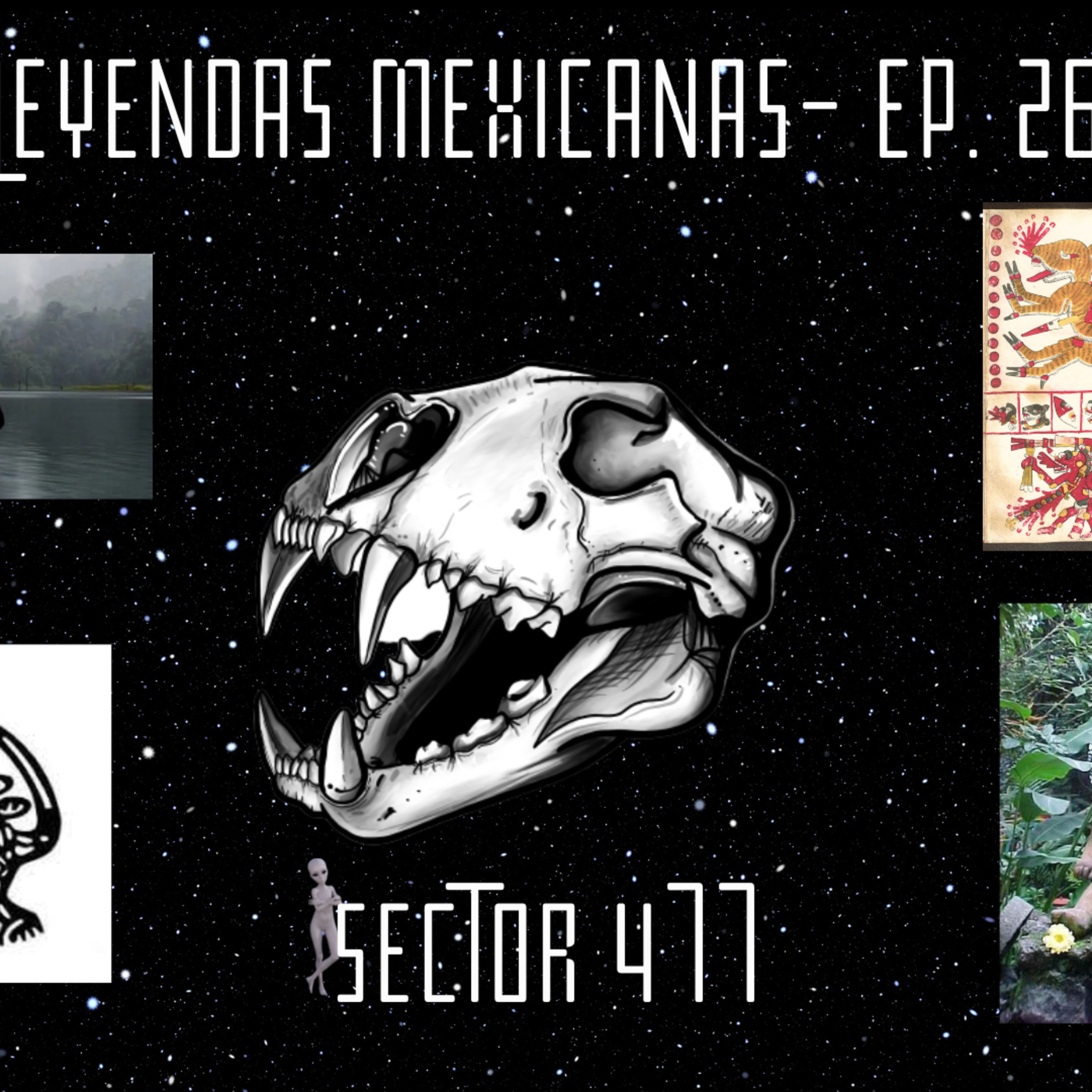 Sector 477