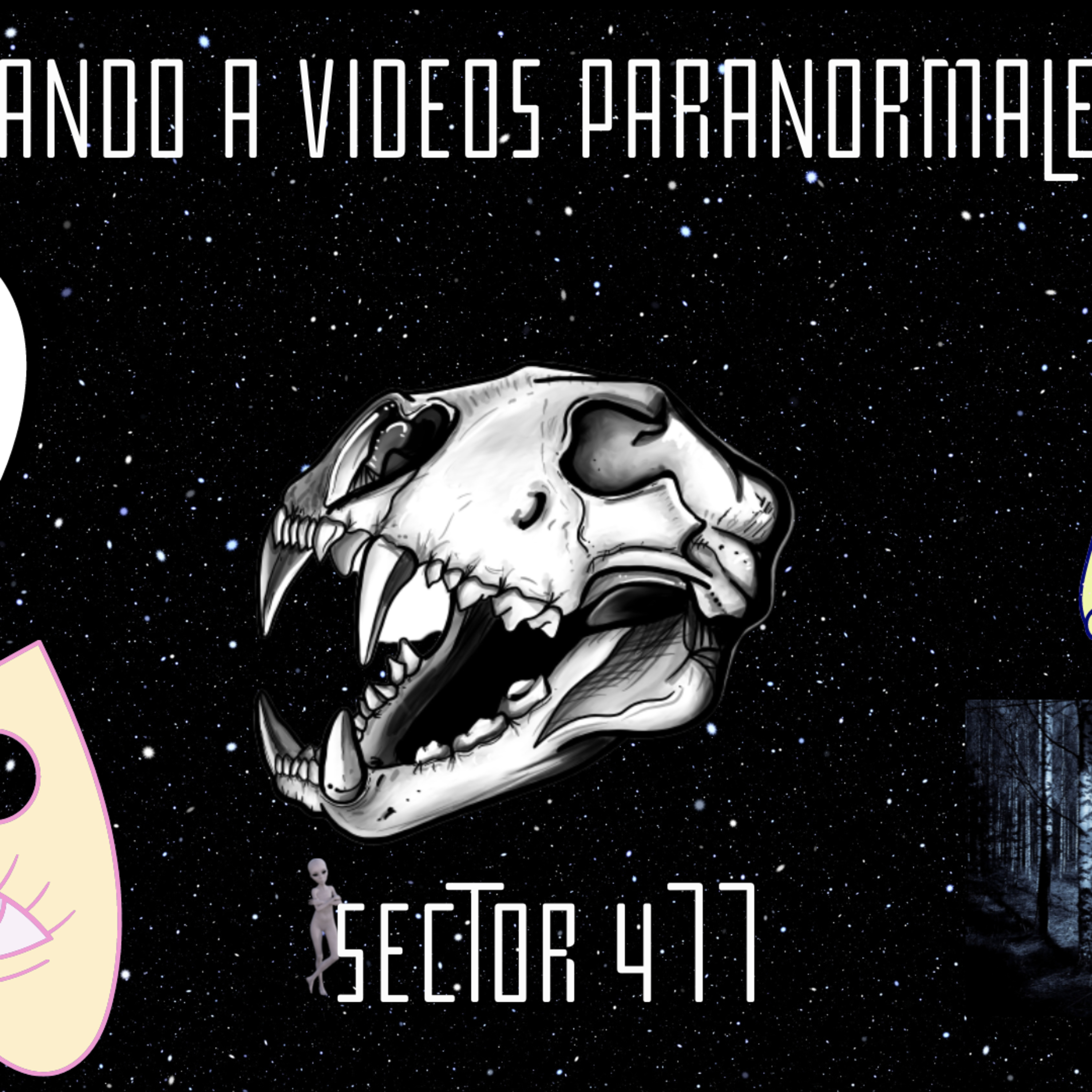 Sector 477