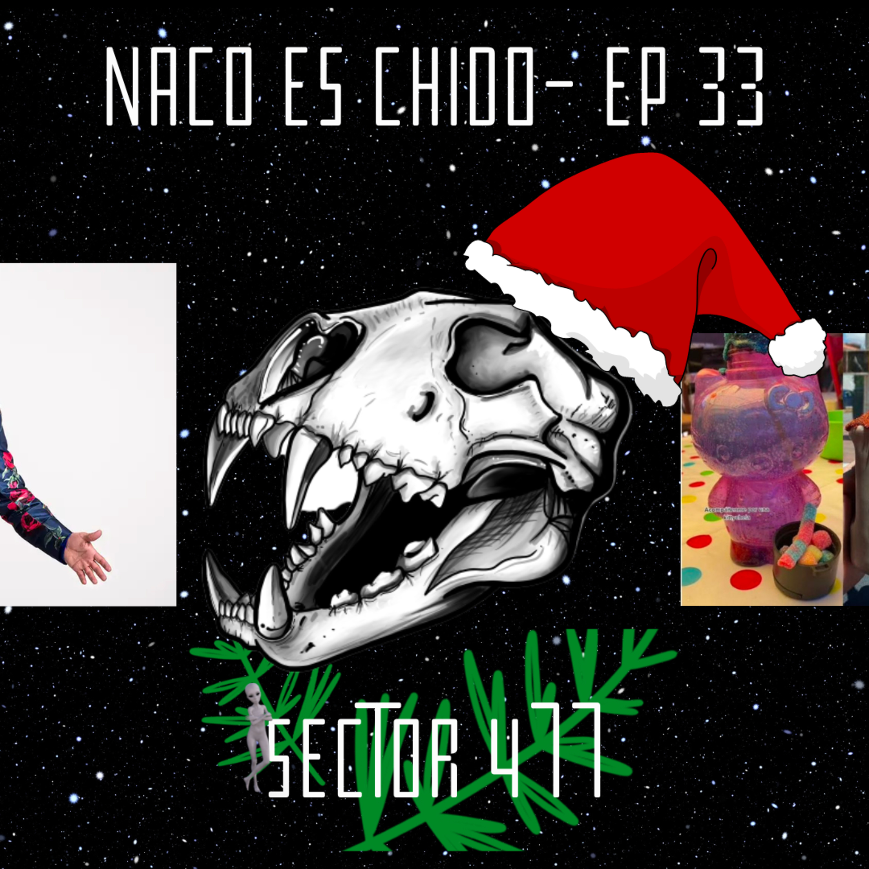 Sector 477