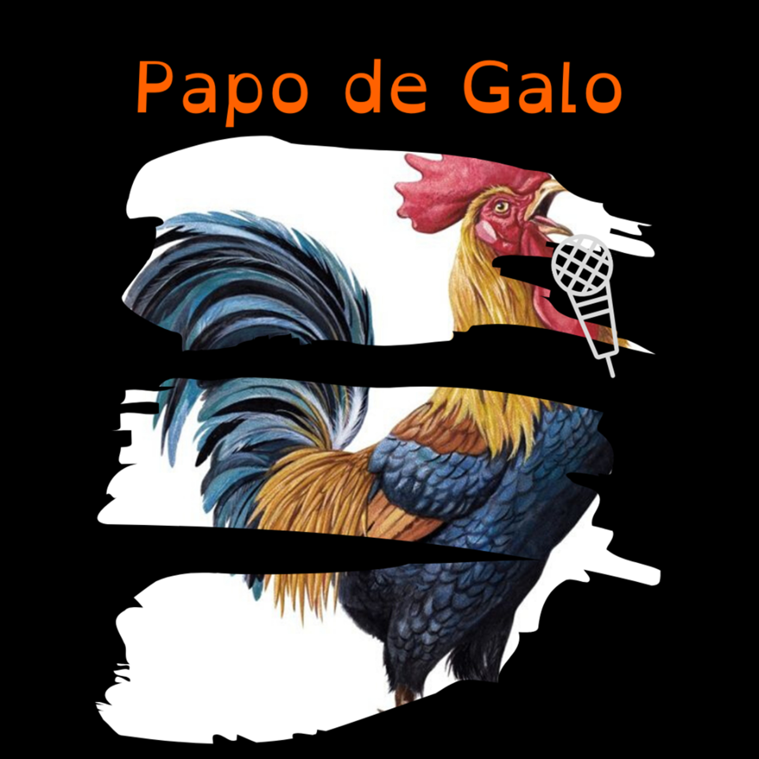 Programa Papo de Galo #5 episode artwork