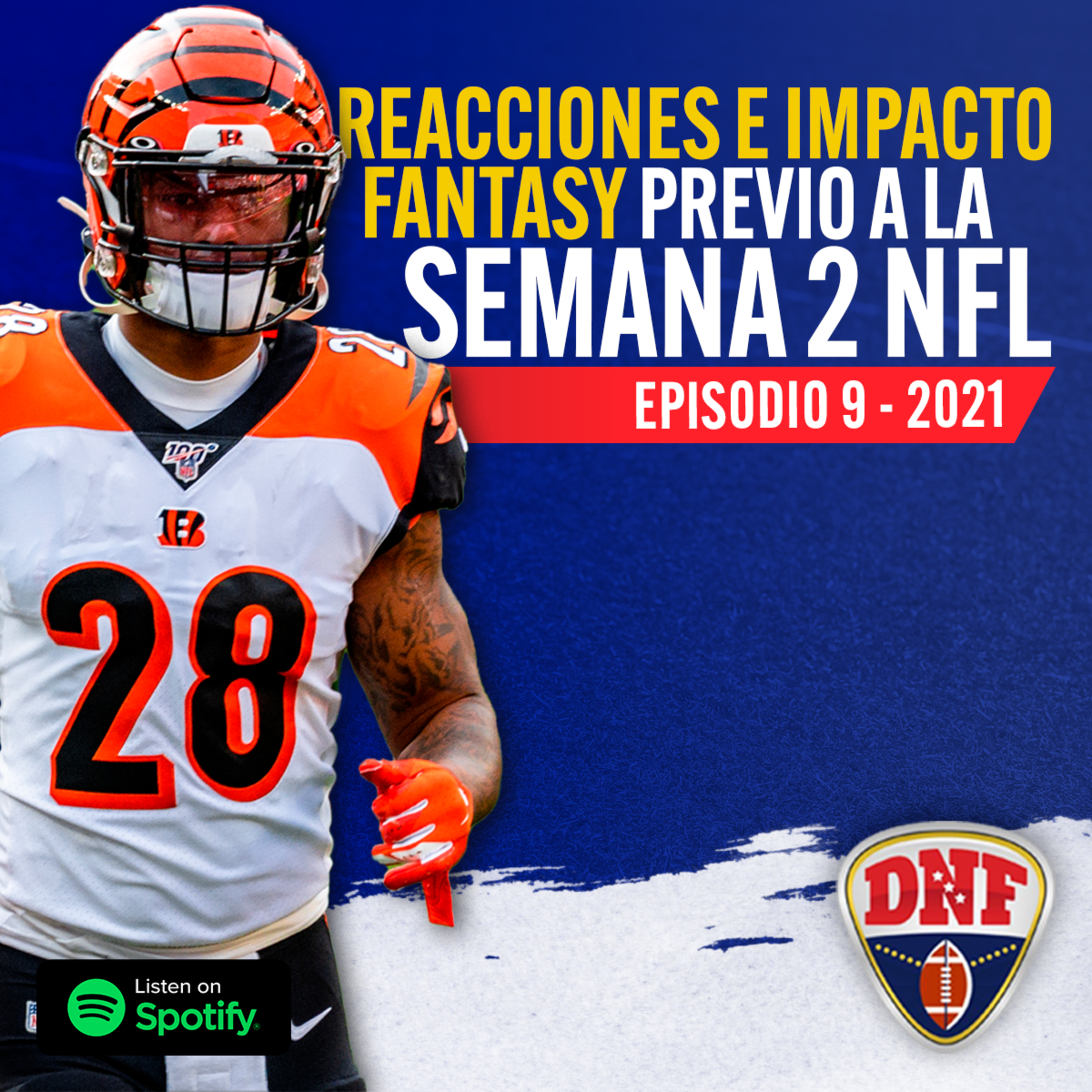 DNF Fantasy Football