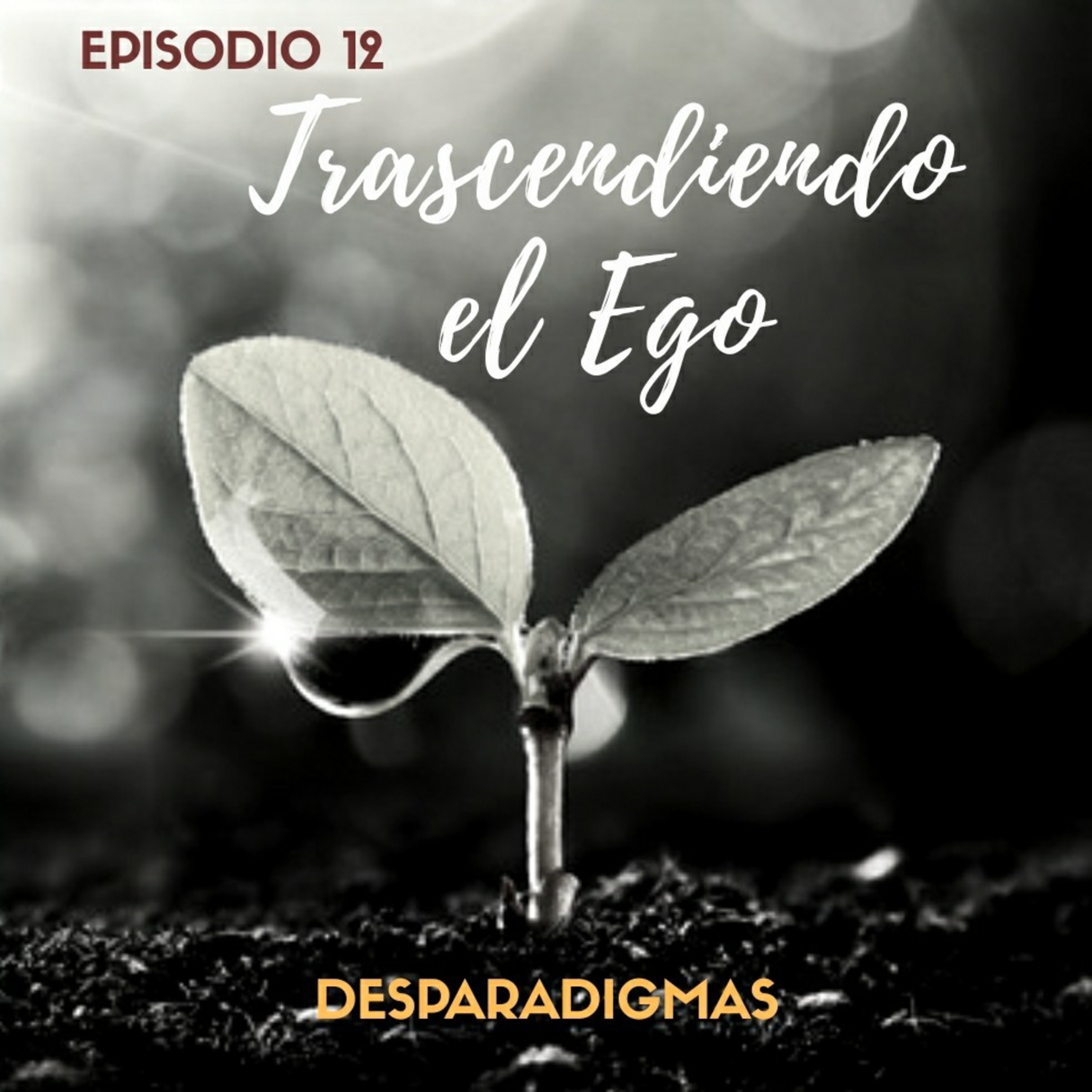 DesParadigmas Podcast