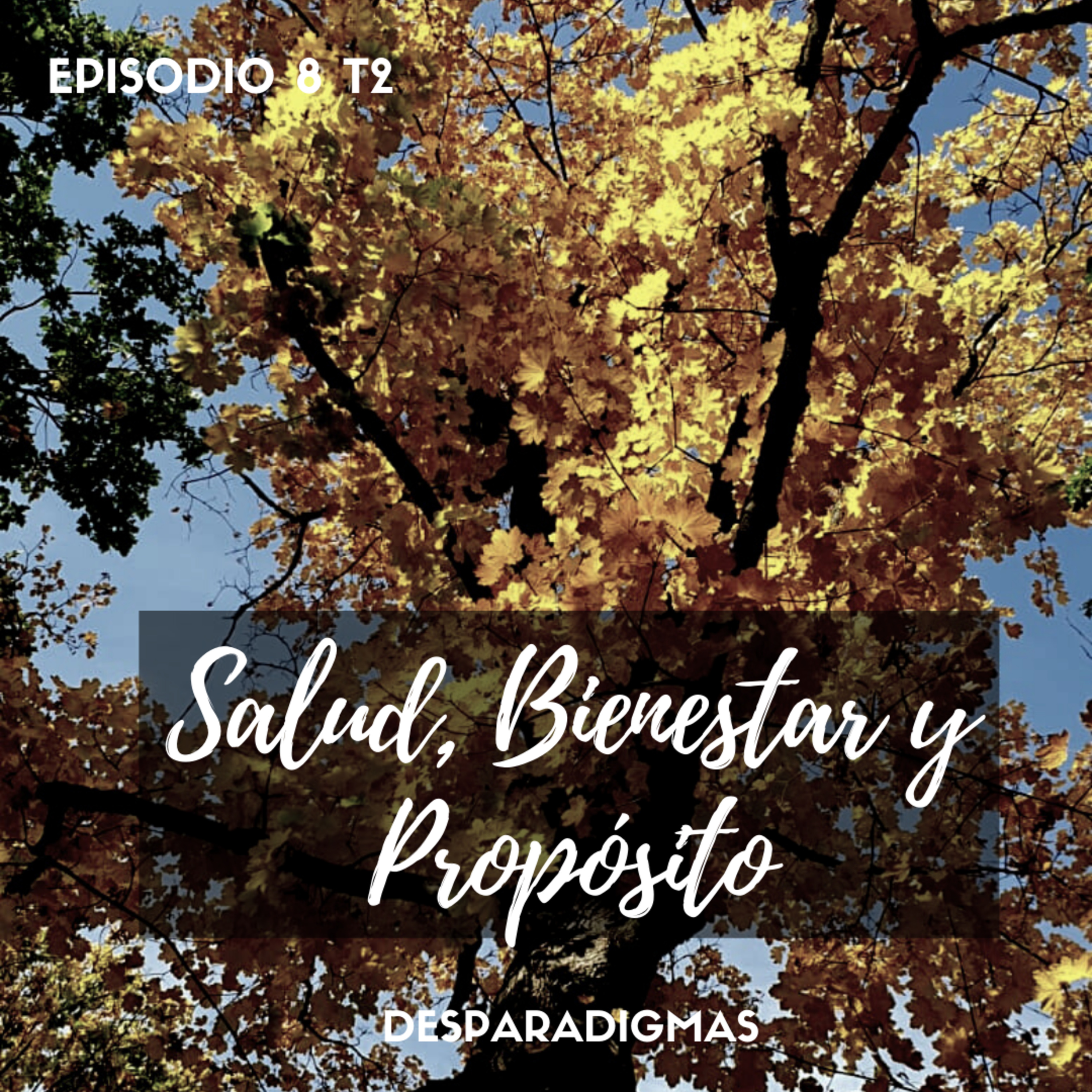 DesParadigmas Podcast