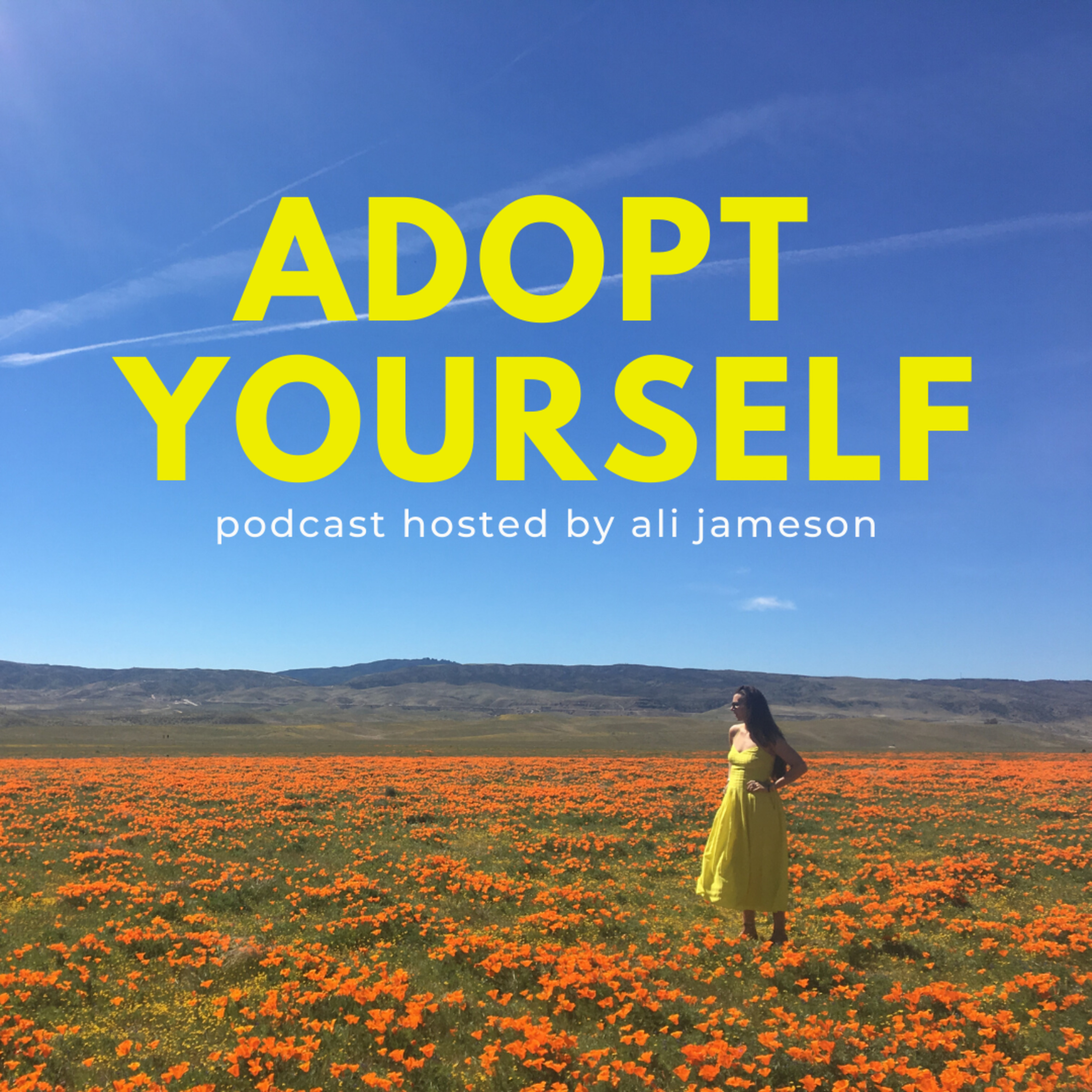 1: What does it mean to Adopt Yourself? episode artwork