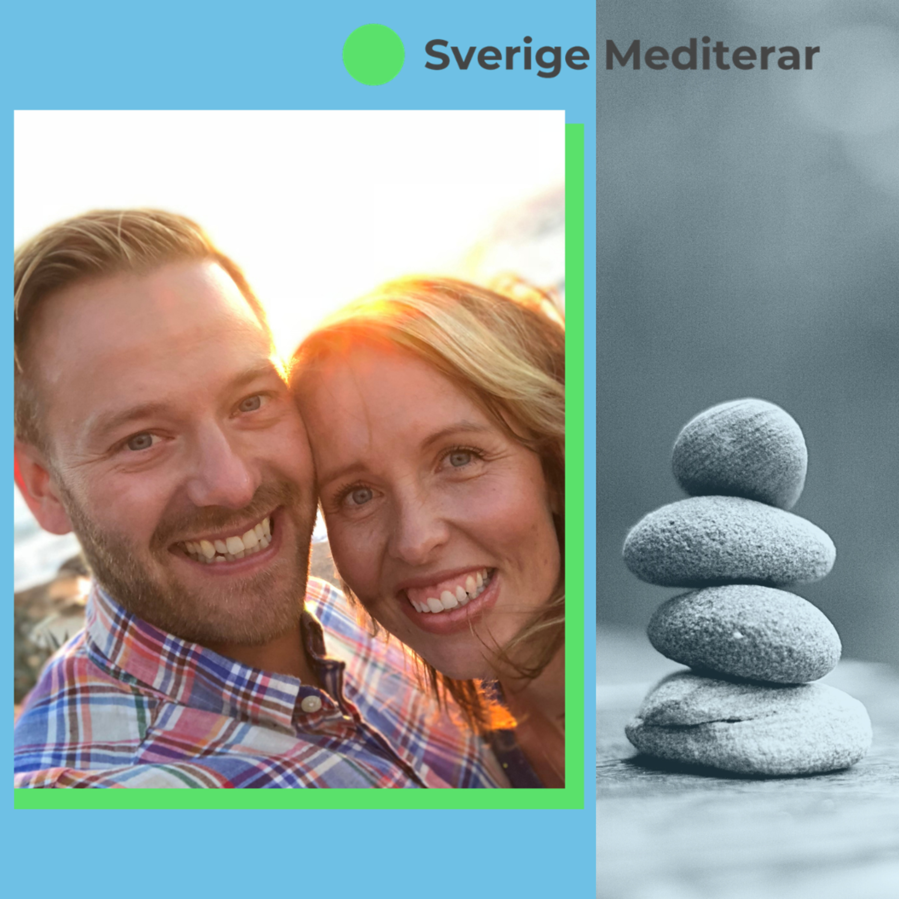 Lär Dig Slappna AV episode artwork