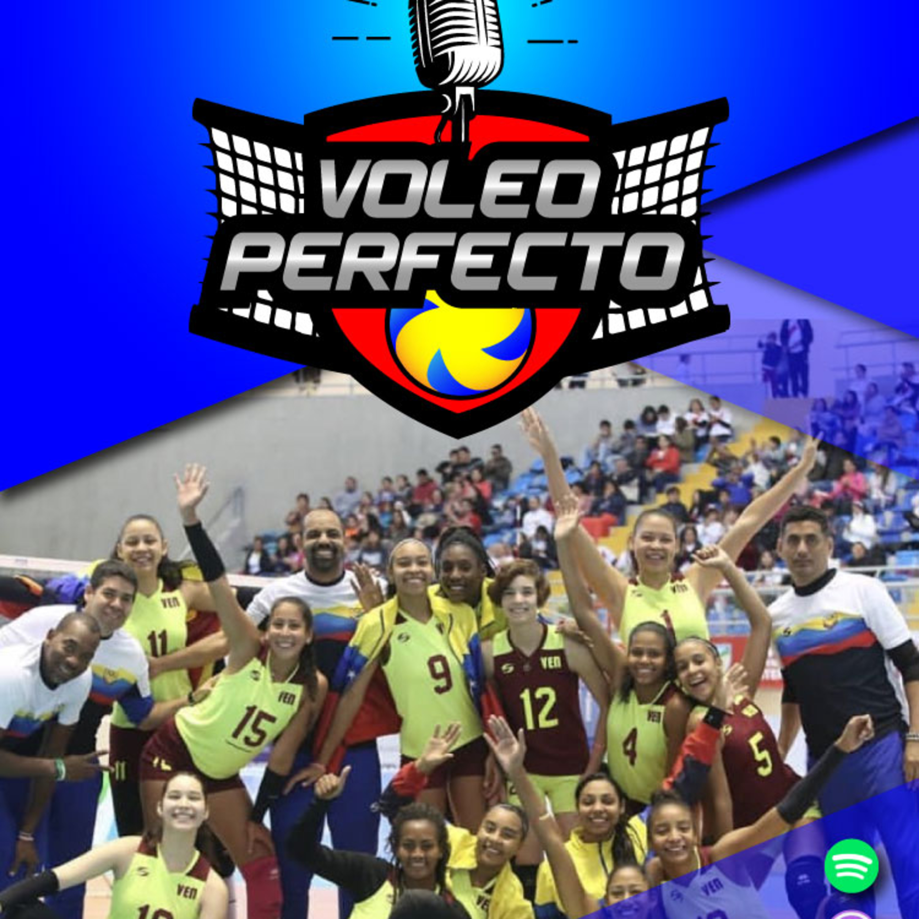 Voleo Perfecto: El Podcast