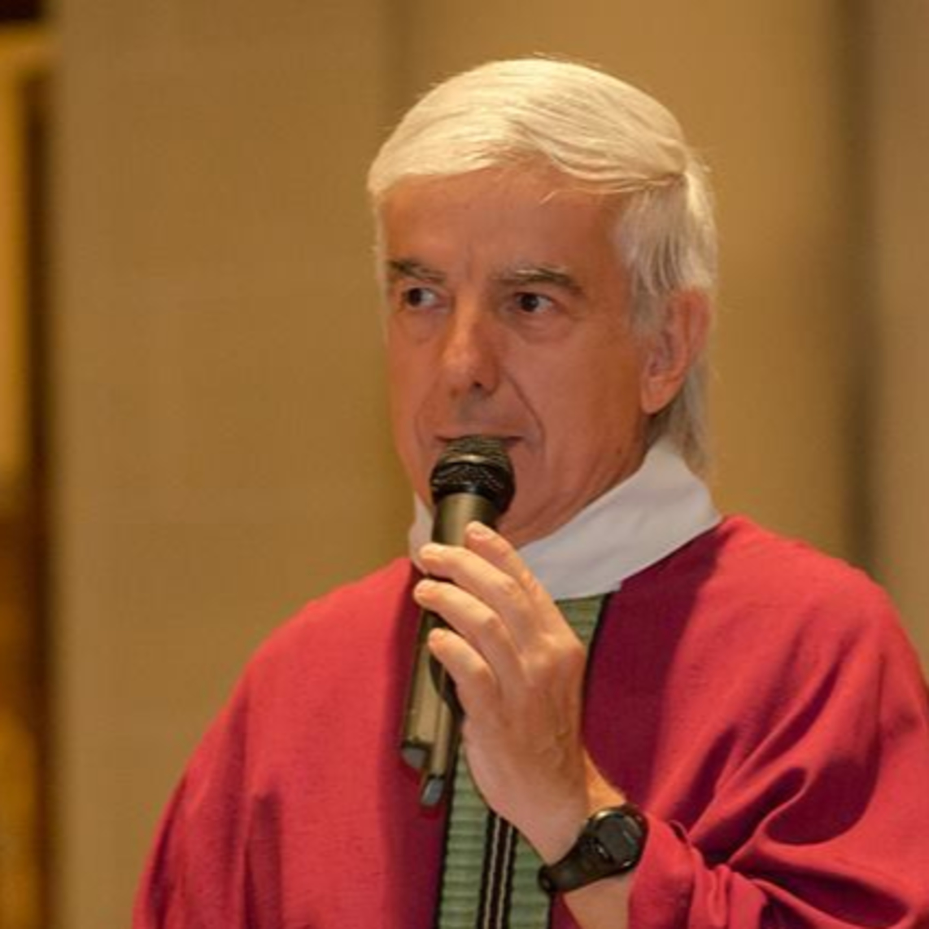Homilías Padre Carlos Avellaneda