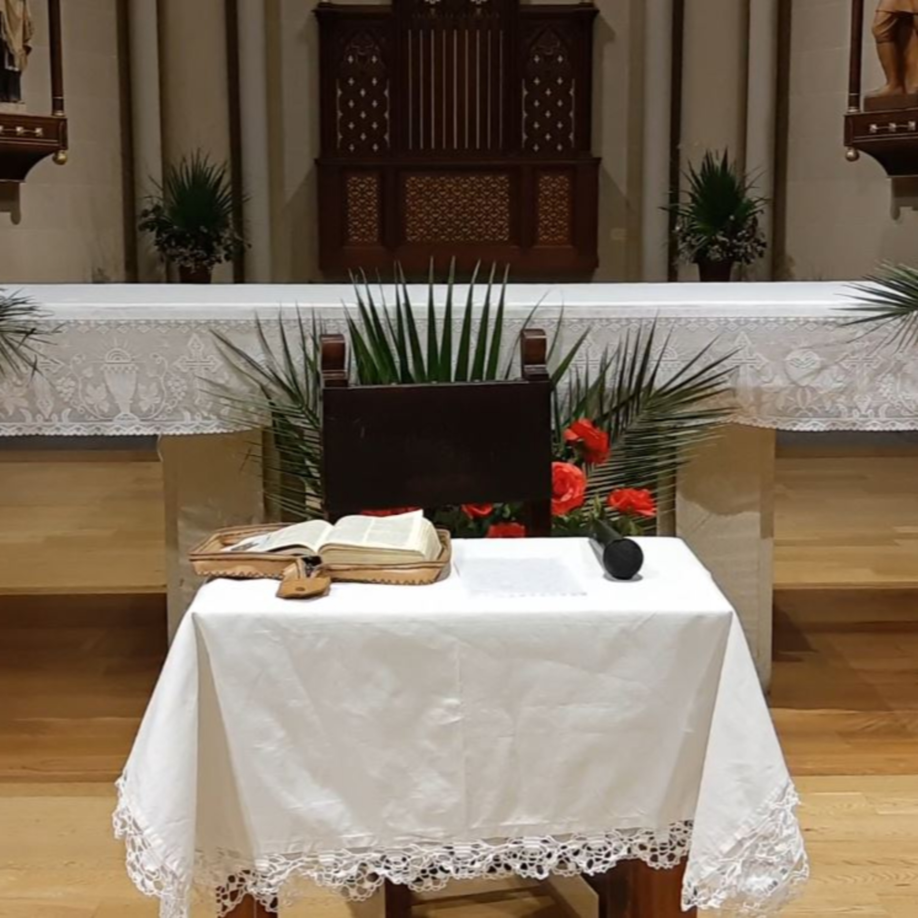 Homilías Padre Carlos Avellaneda
