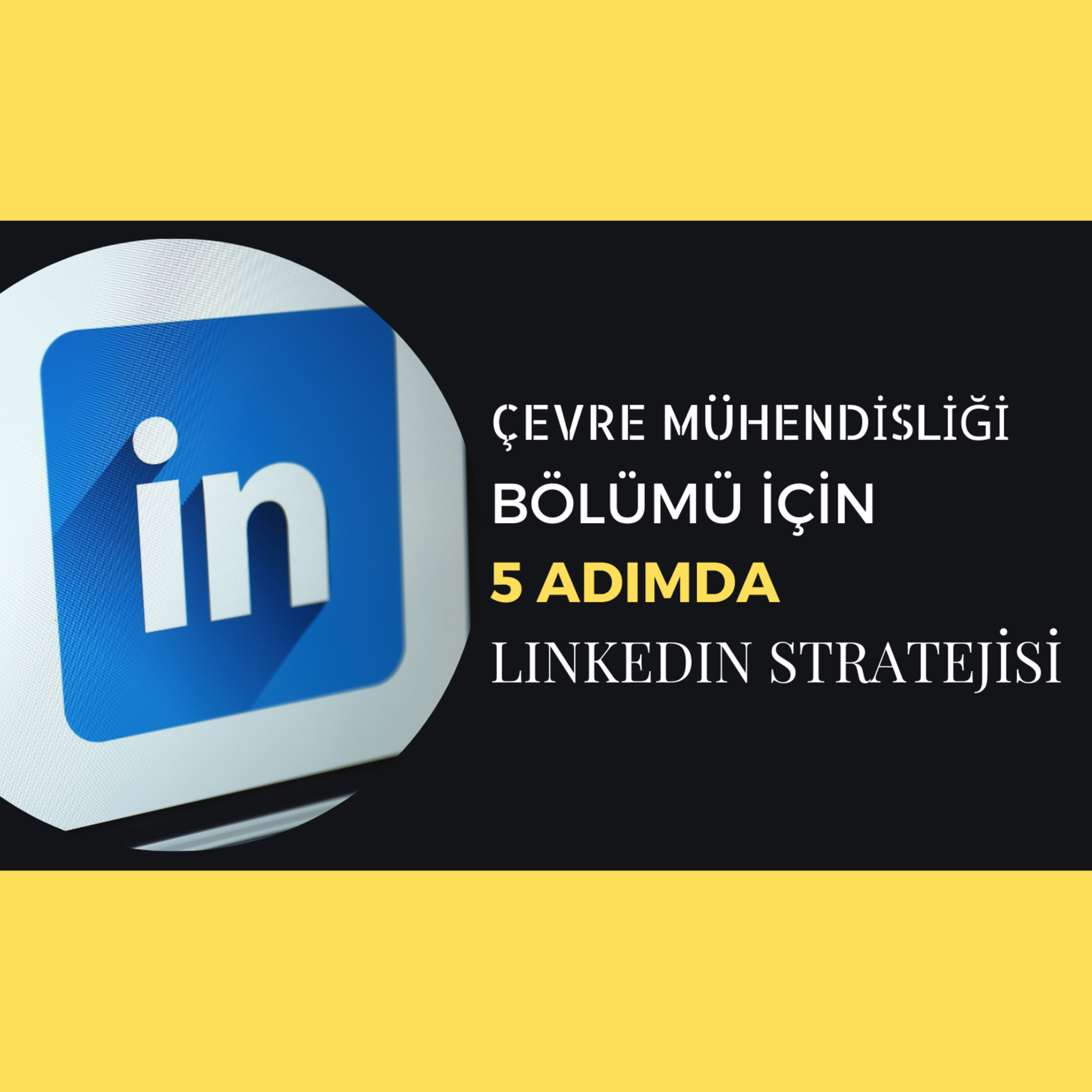Career Hub Studio