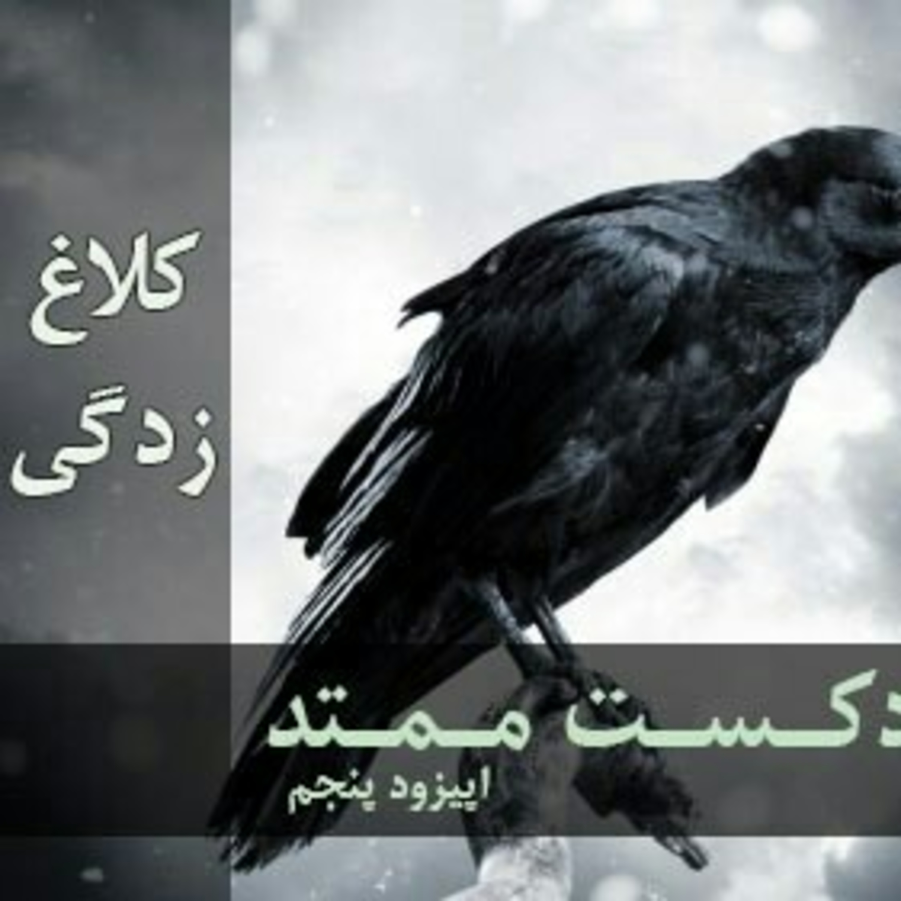 کاور کلاغ زدگی