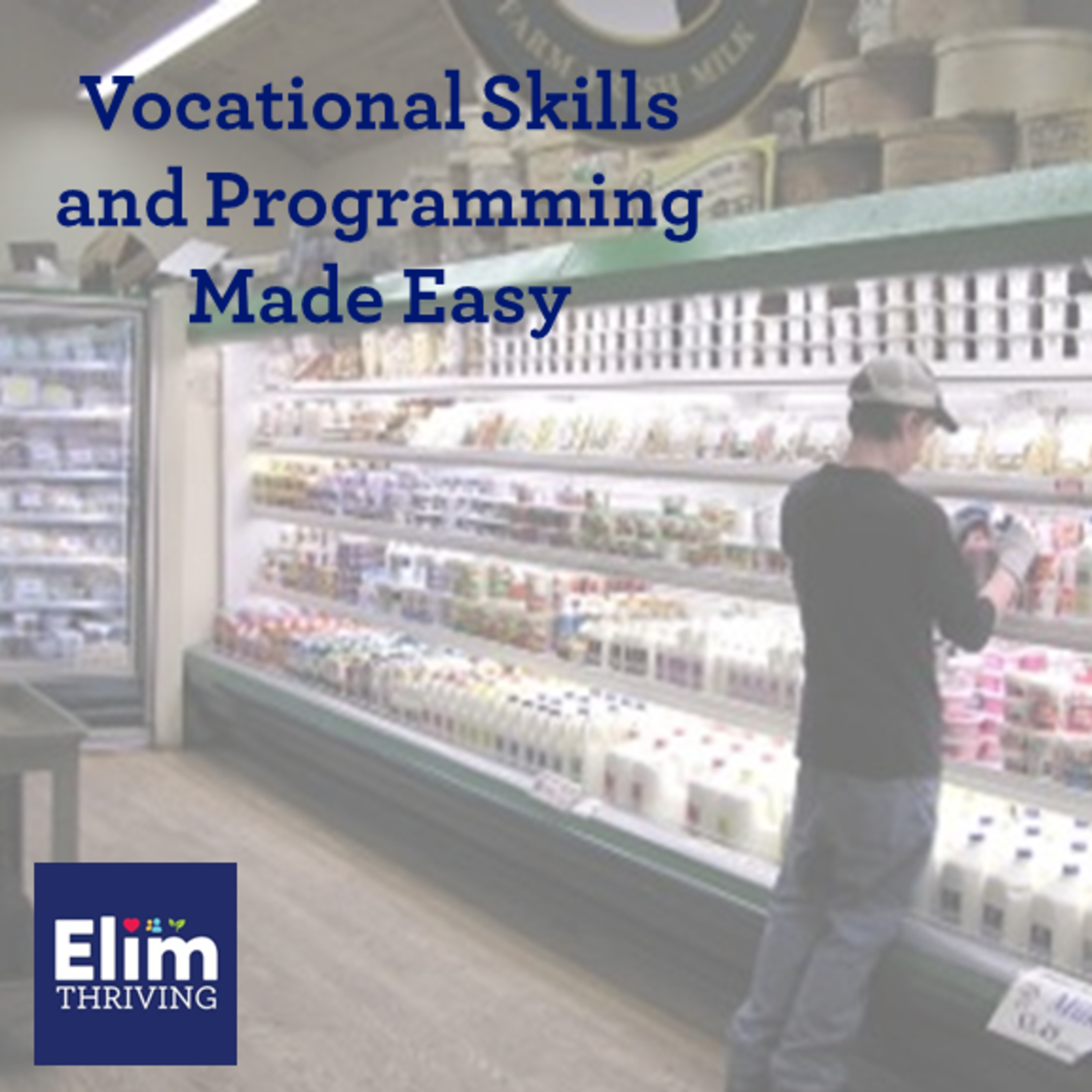Vocational Skills & Programming Made Easy
