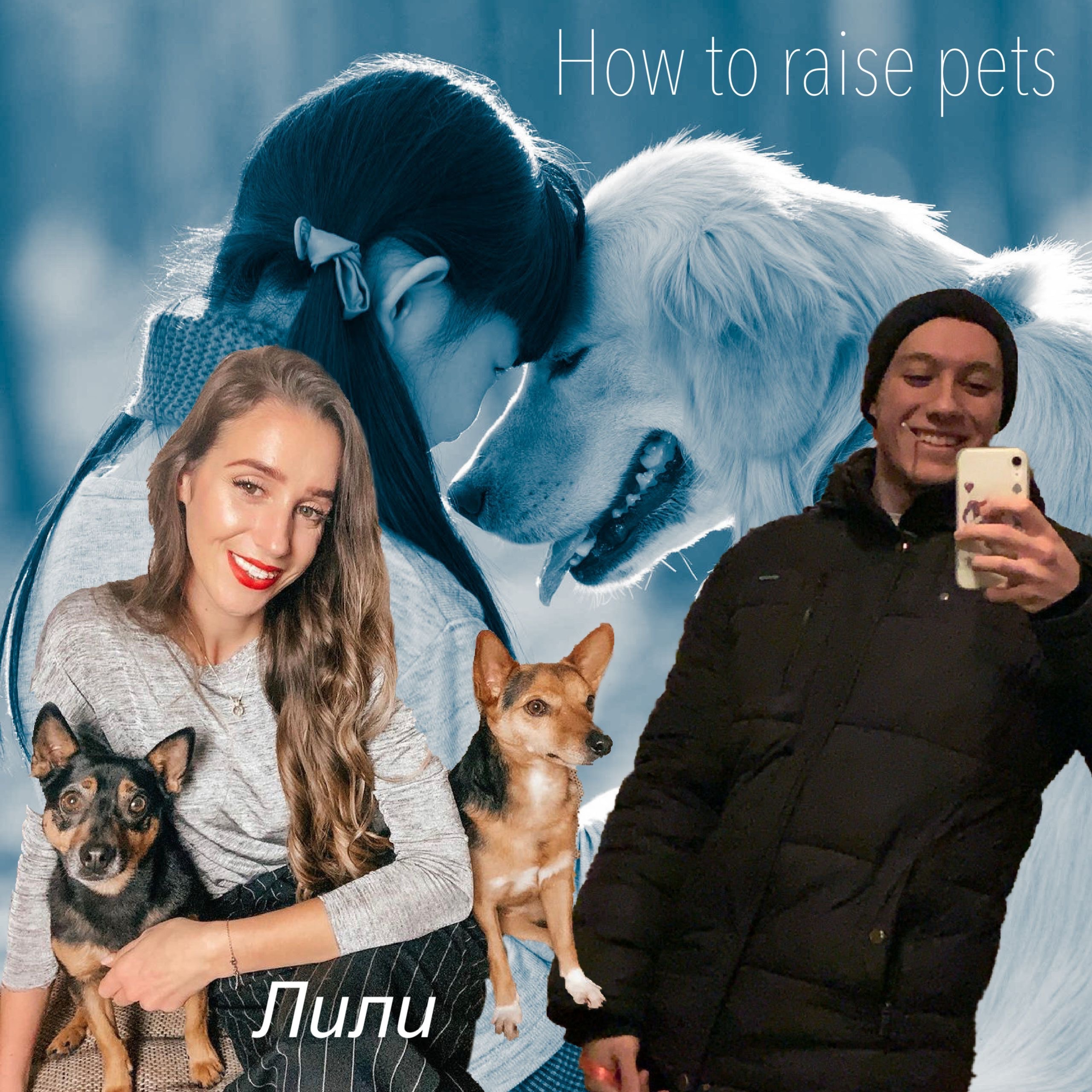 How to raise pets episode artwork