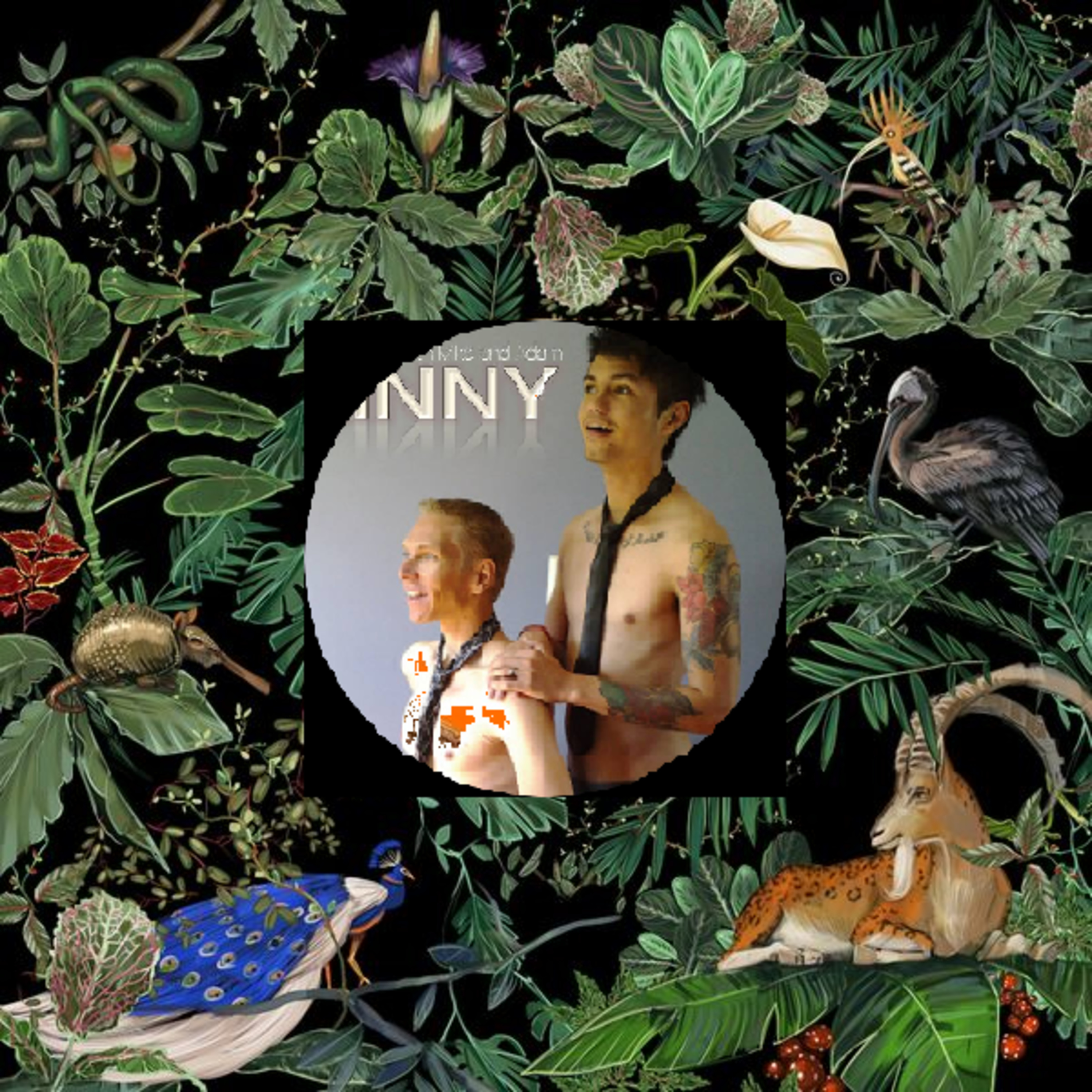 Amazing Things by Don Broco Album Review