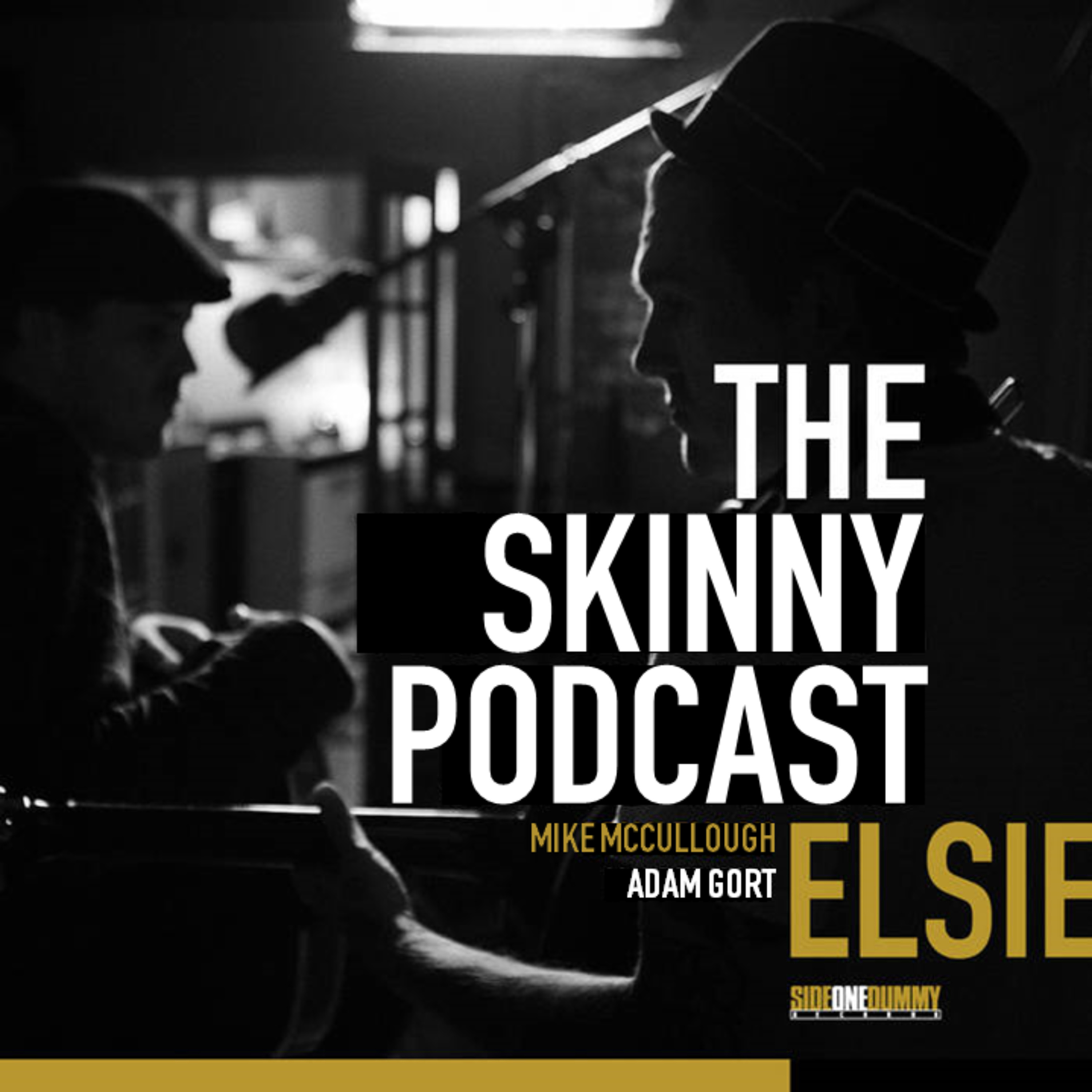 The Gaslight Anthem Retrospective – BONUS EPISODE: Elsie by The Horrible Crowes Album Review