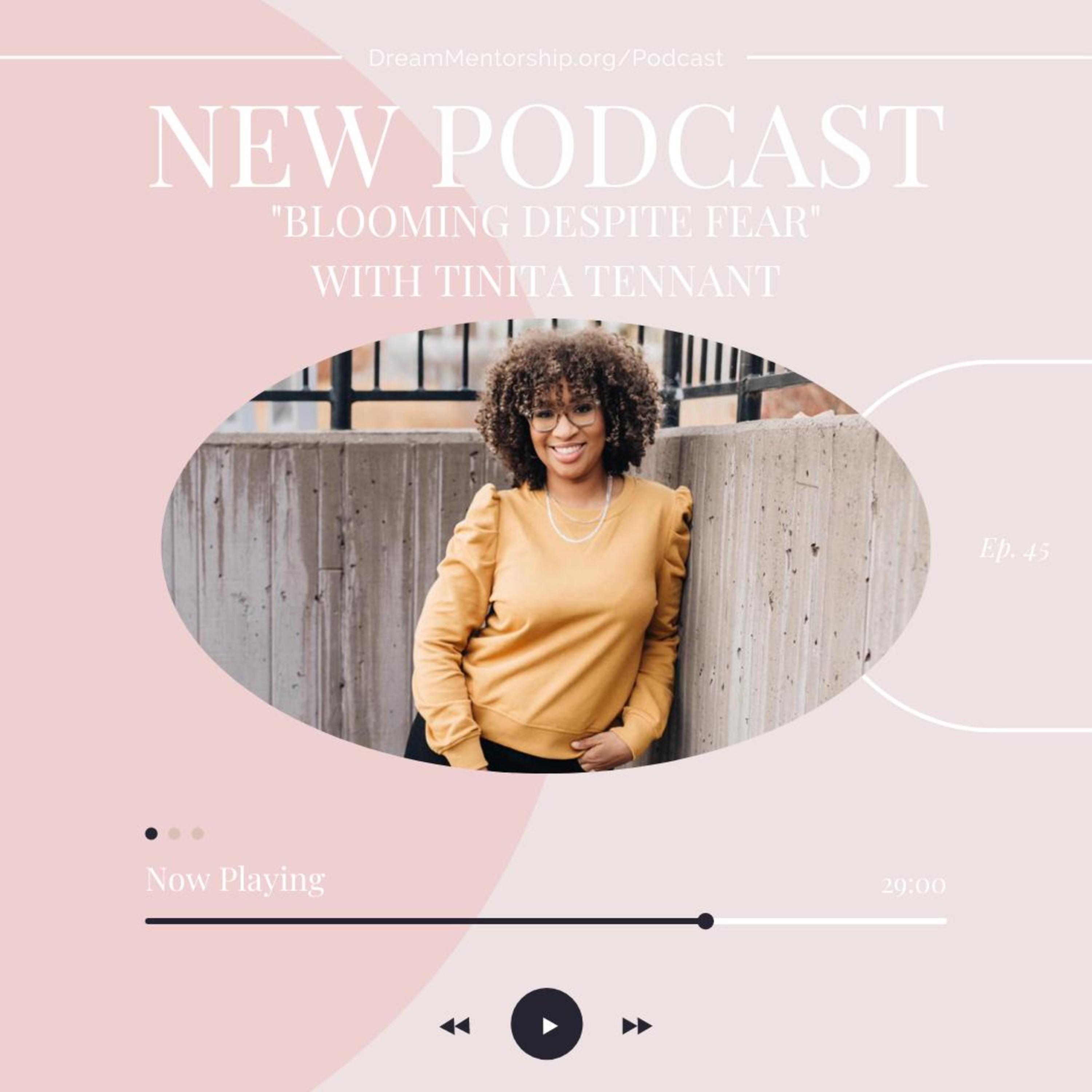 Dream Mentorship Podcast