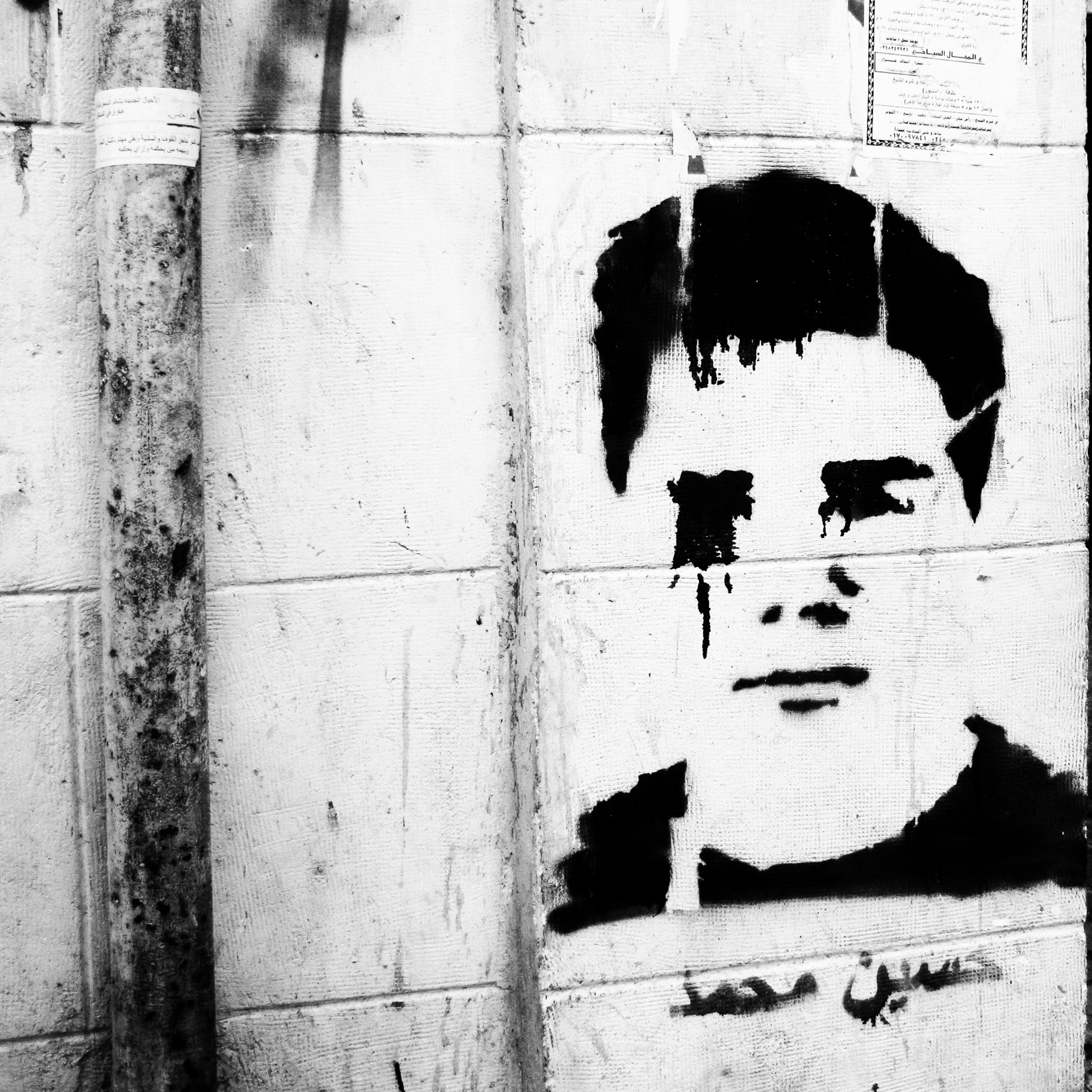 Egypt: The Revolution and its Aftermath