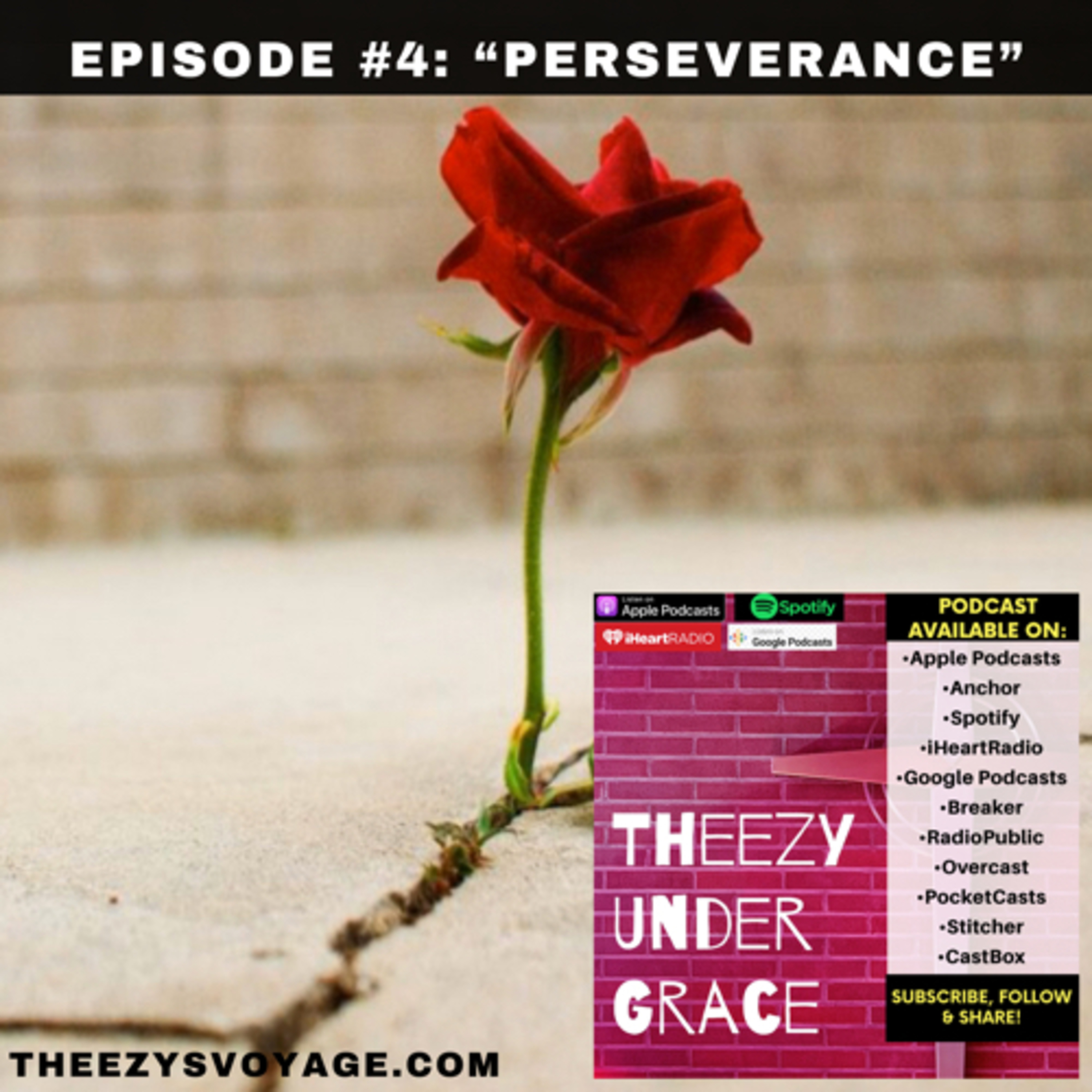Perseverance episode artwork