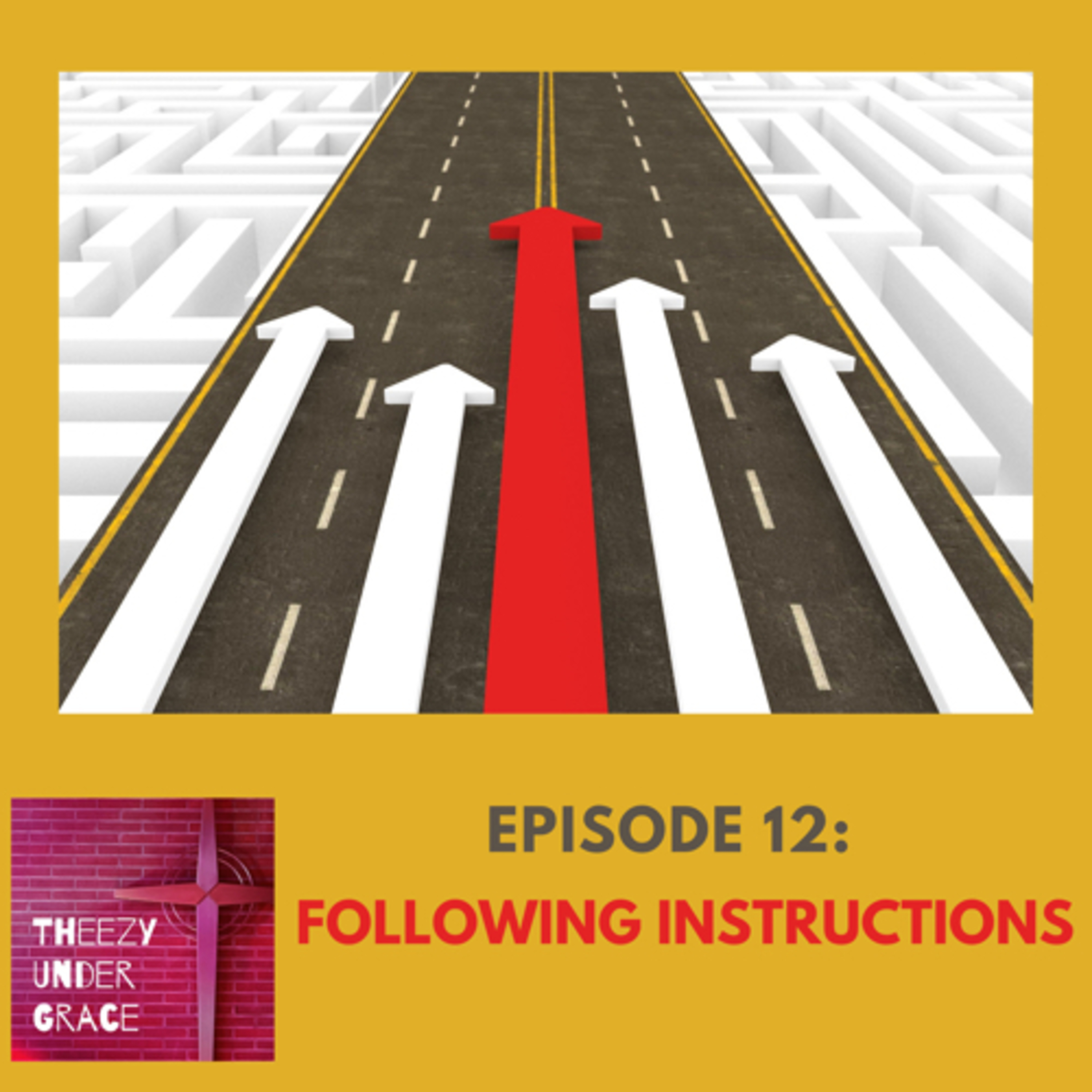 Following Instructions episode artwork