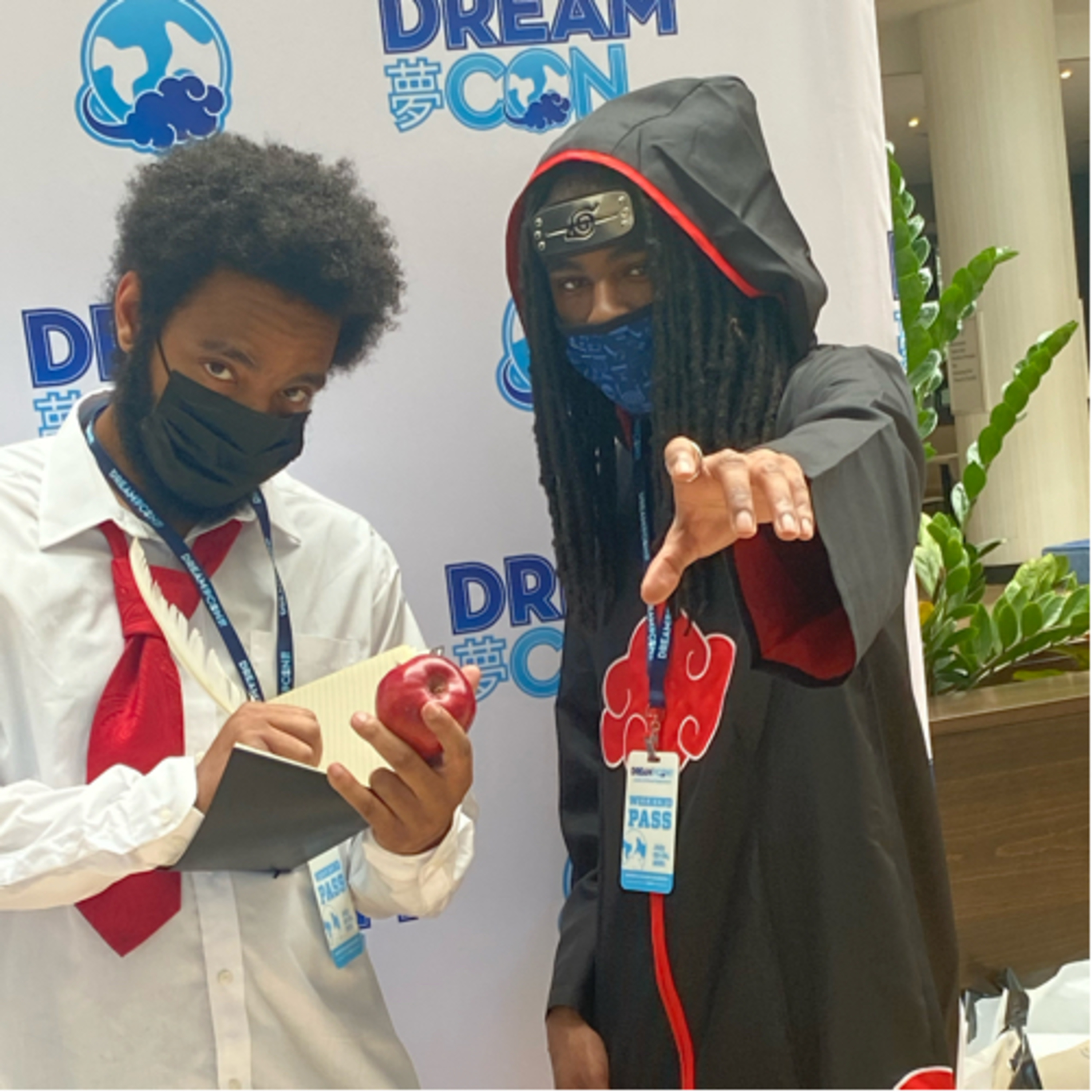 Should you go to Dreamcon my experience, crazy stories and Announcements  episode artwork