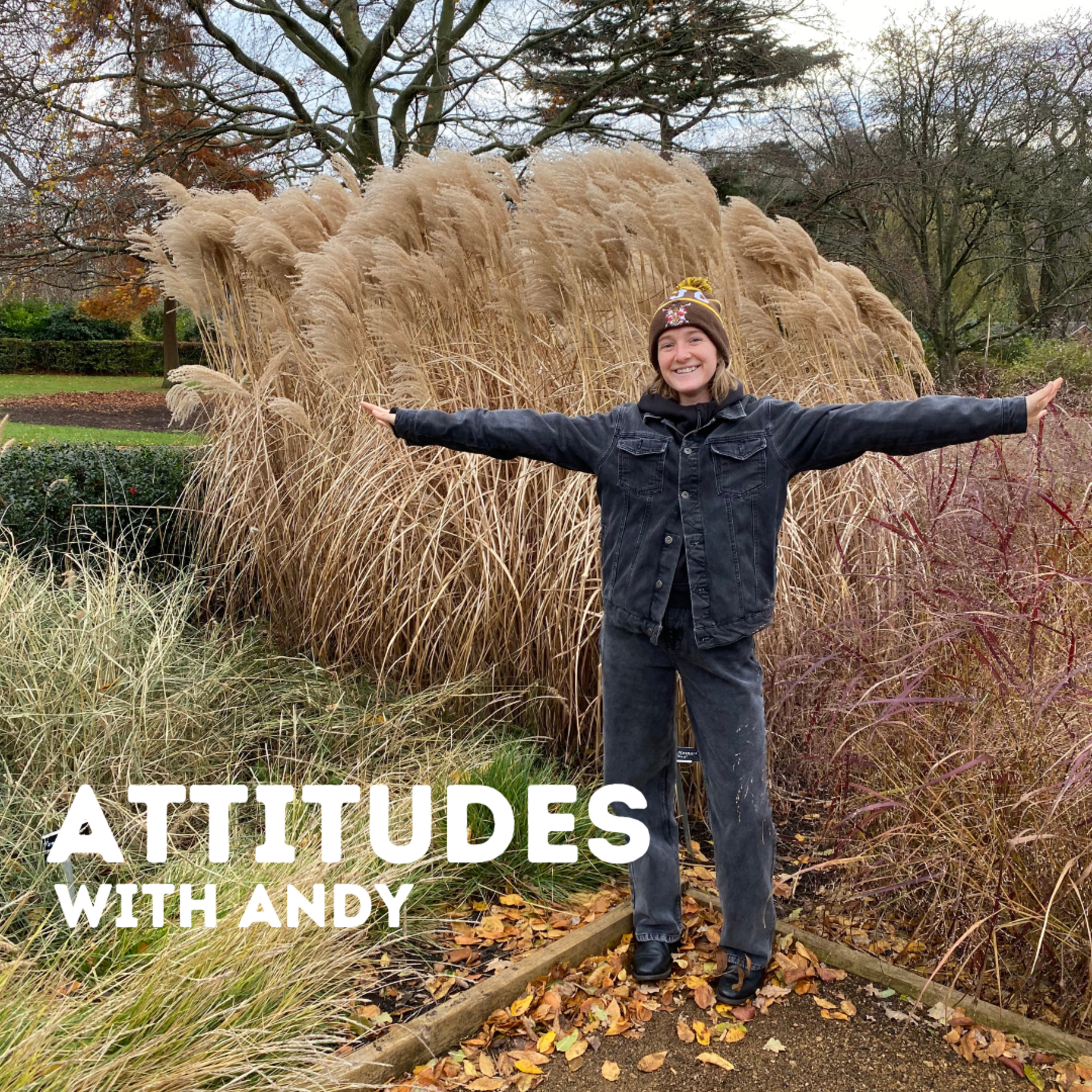 Attitudes with Andy