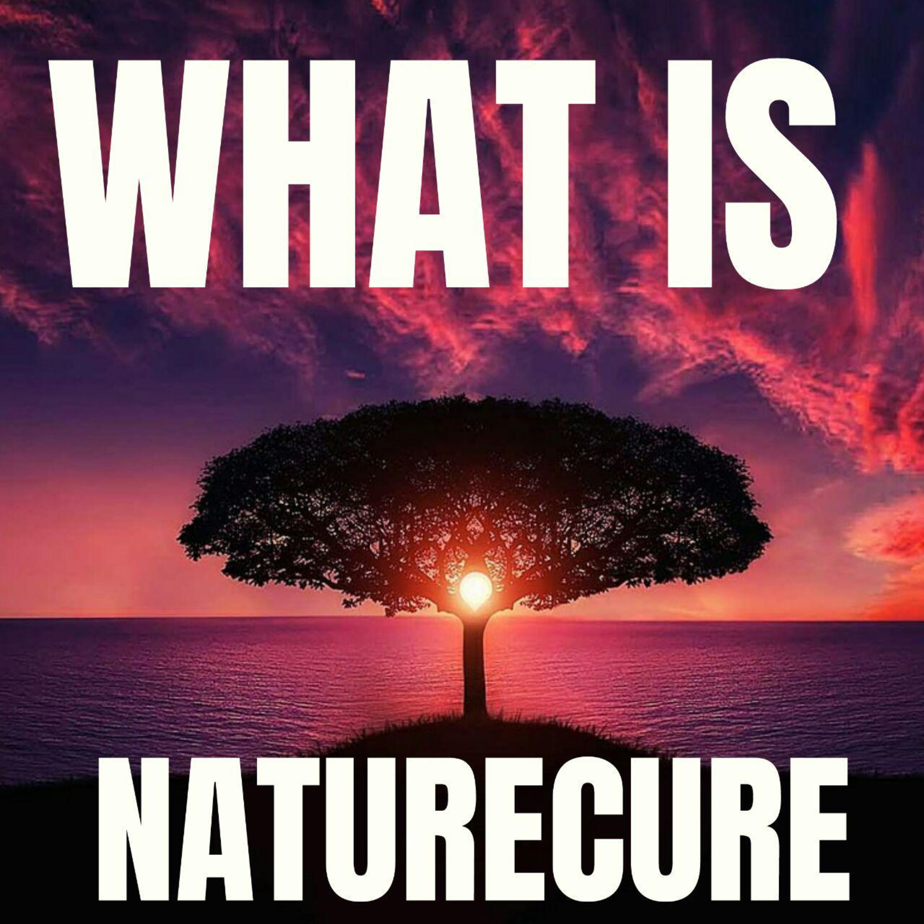 Saffron4Health - A Perfect Way TO Wellness