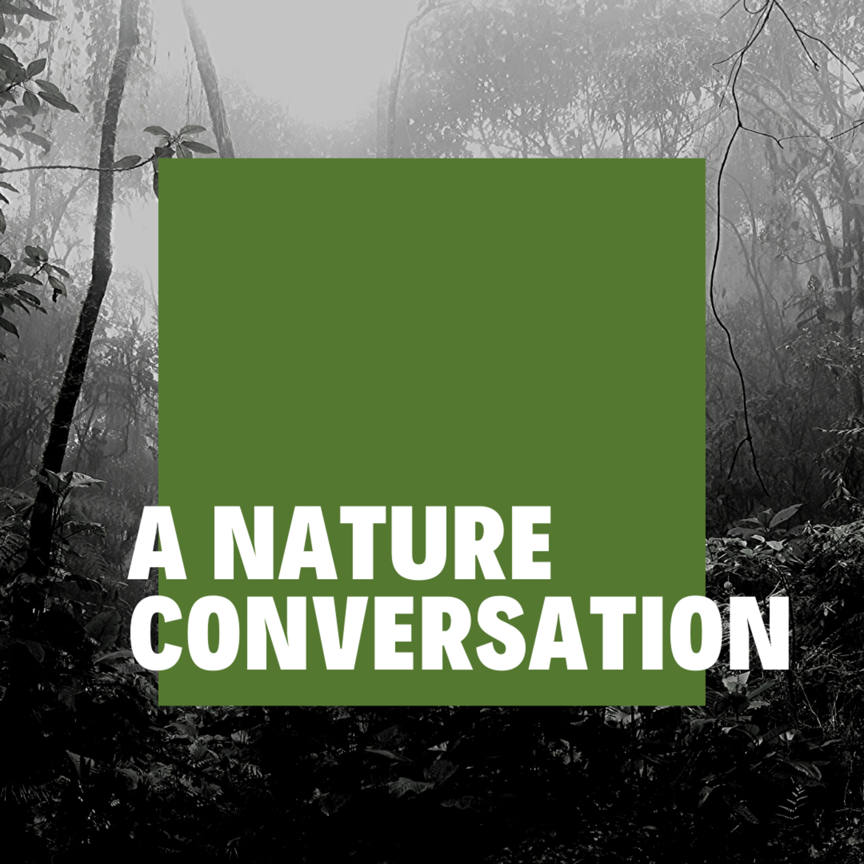 Saffron4Health - A Perfect Way TO Wellness