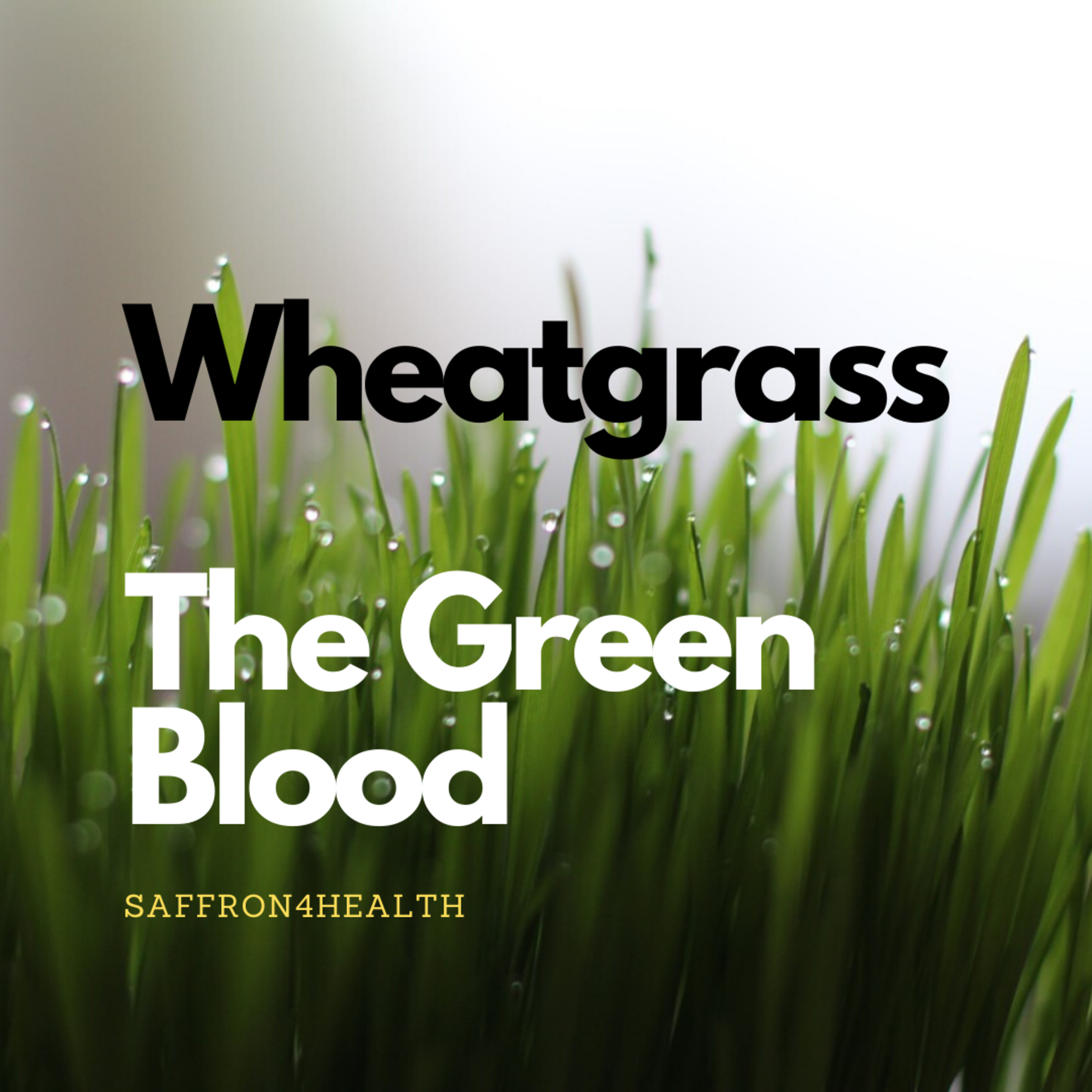 Saffron4Health - A Perfect Way TO Wellness