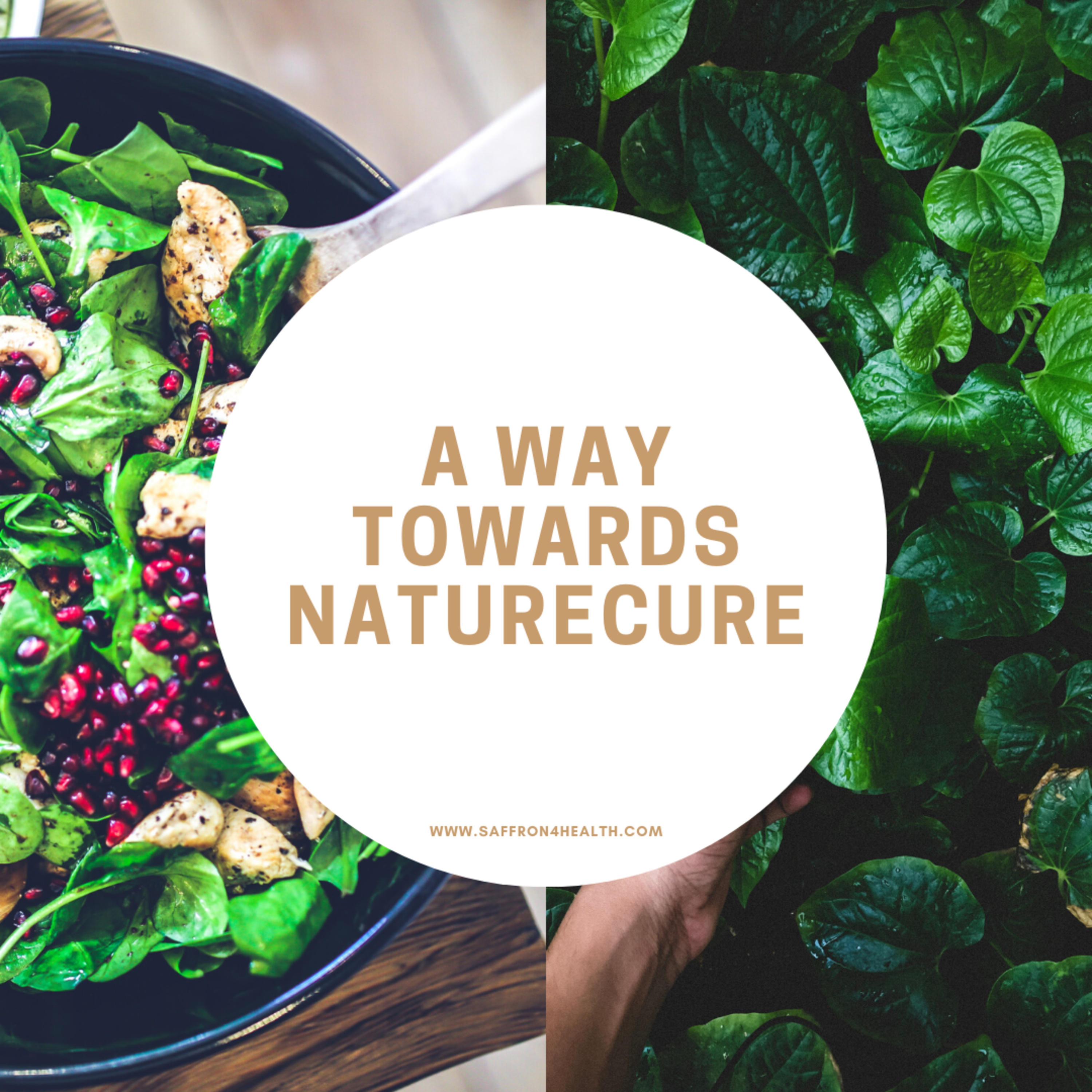 Saffron4Health - A Perfect Way TO Wellness