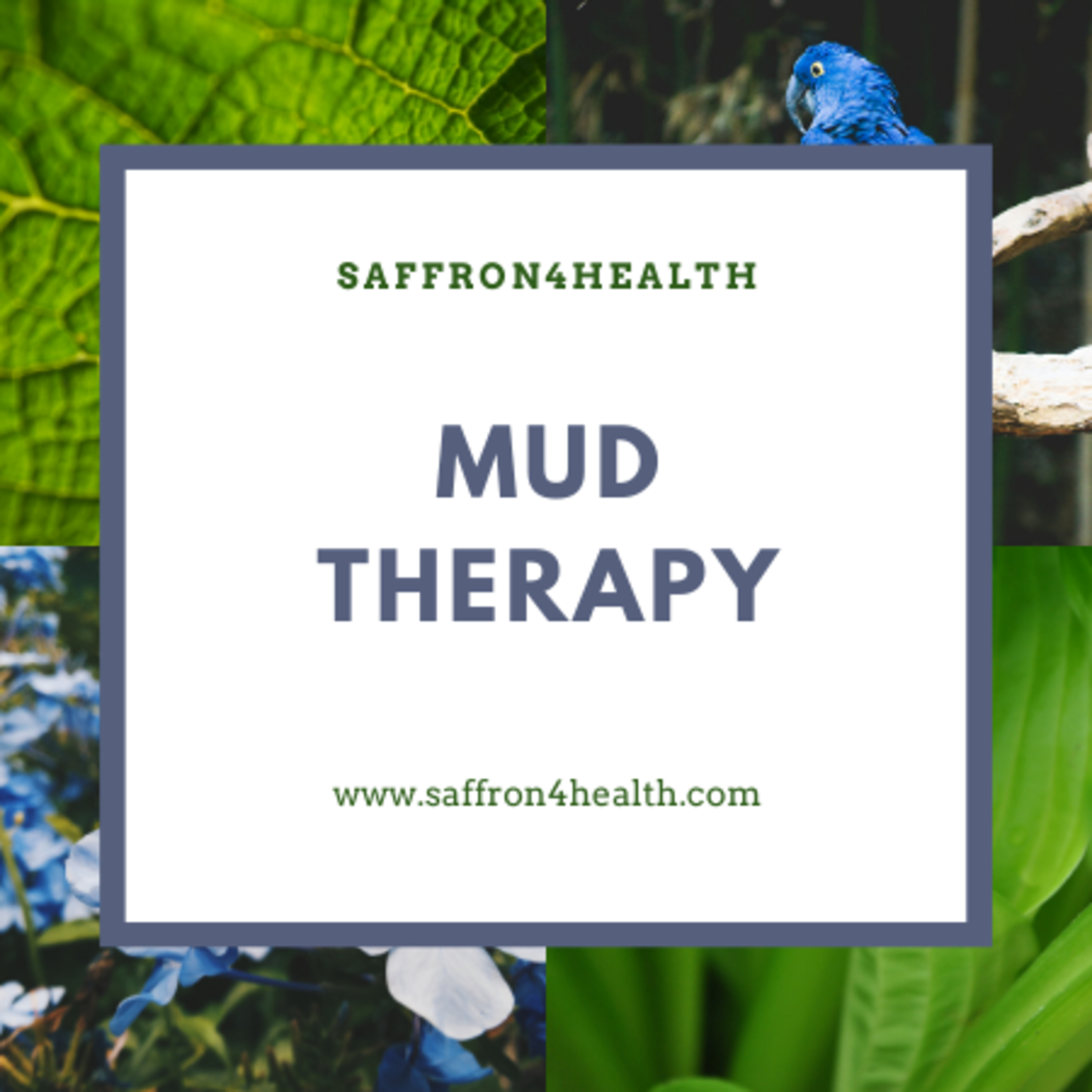 Saffron4Health - A Perfect Way TO Wellness