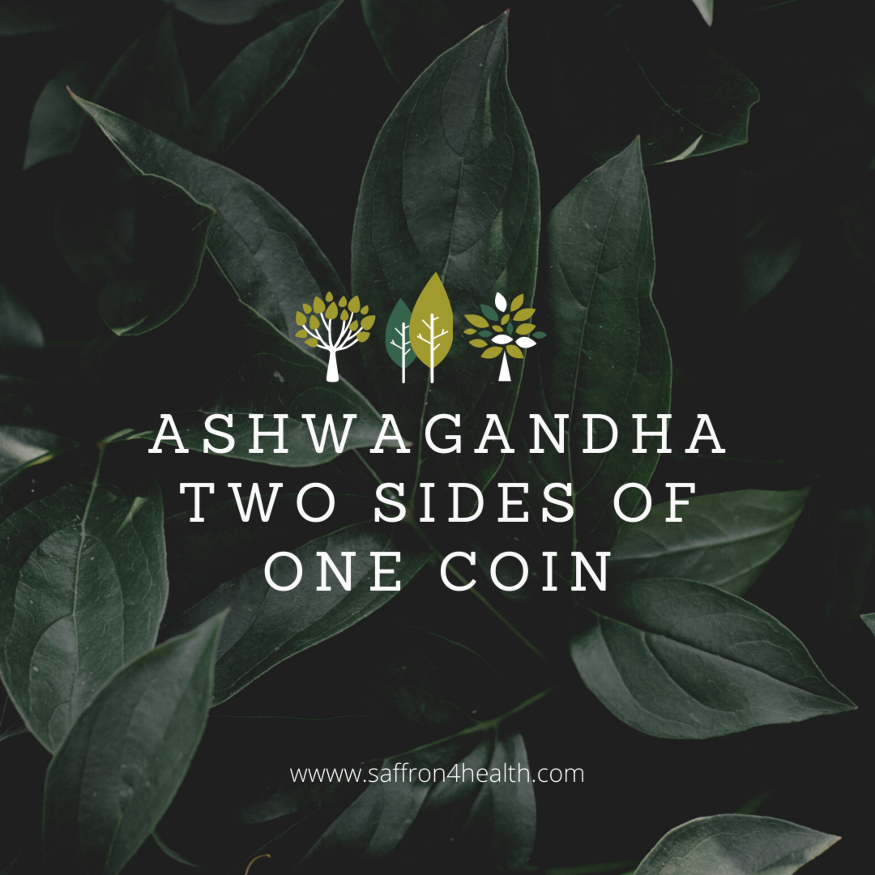 Saffron4Health - A Perfect Way TO Wellness