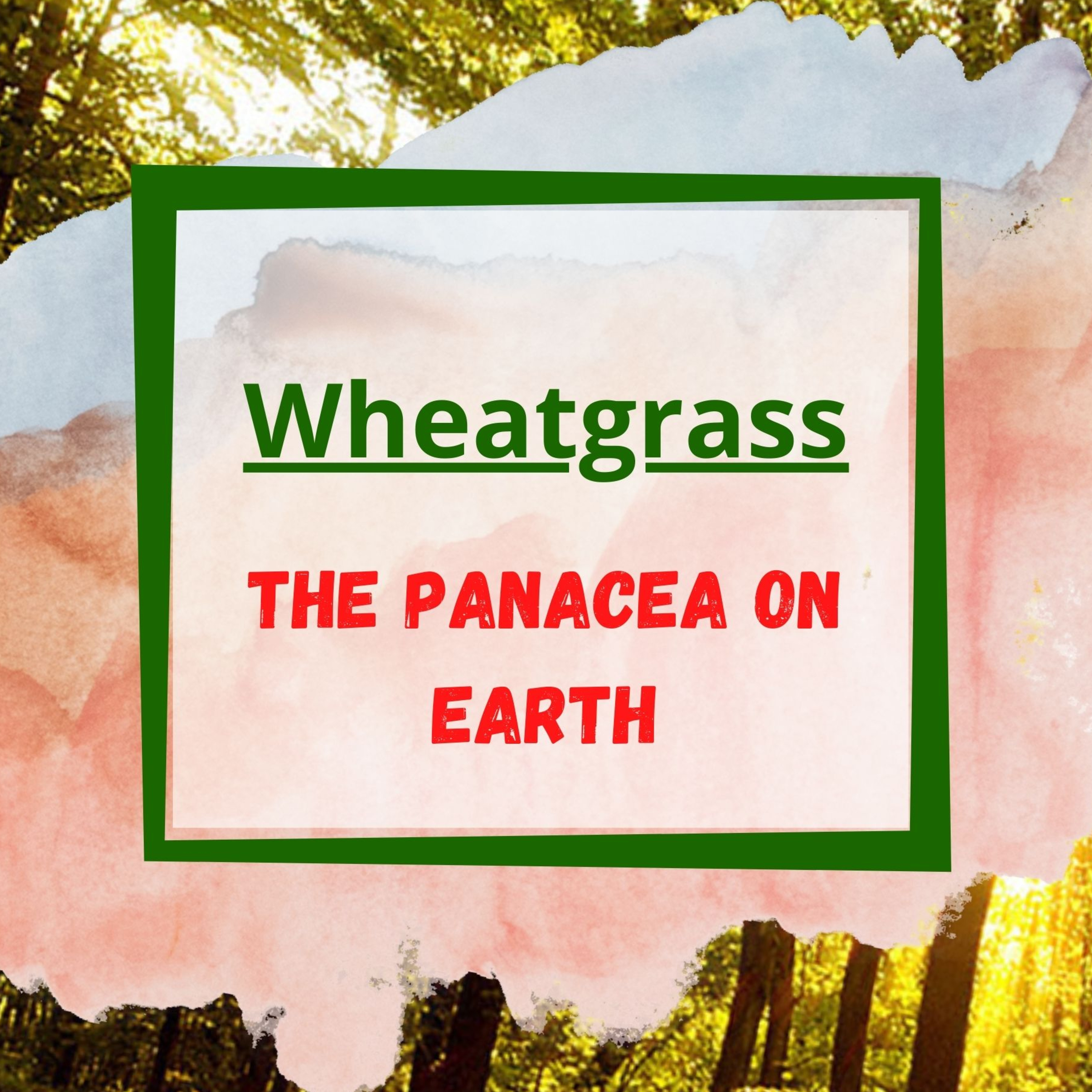 Saffron4Health - A Perfect Way TO Wellness