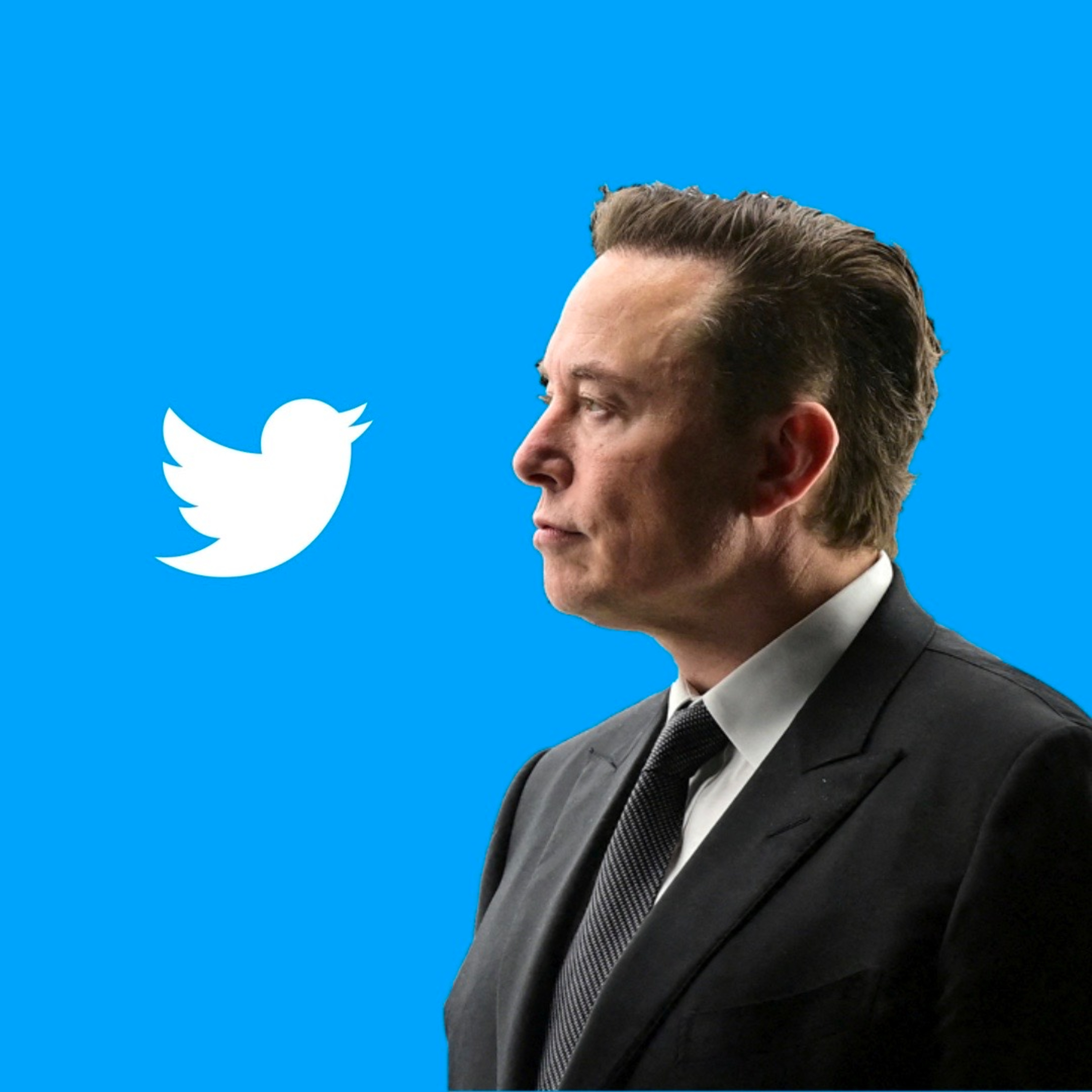 ايلون مسك و تويتر