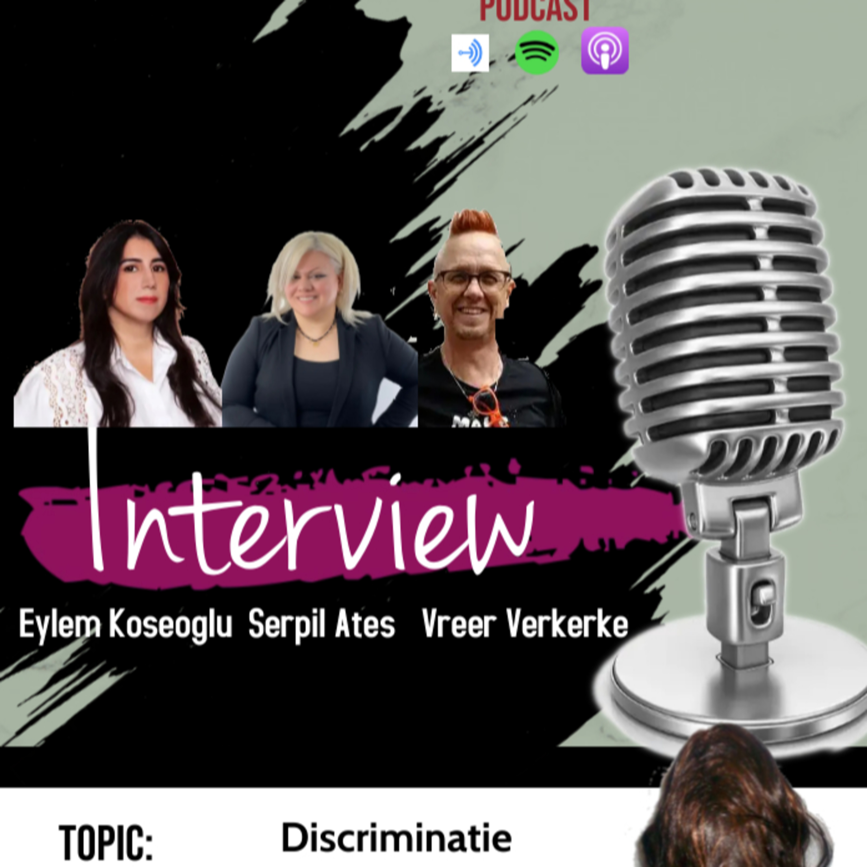 Discriminatie door en onder politici. episode artwork