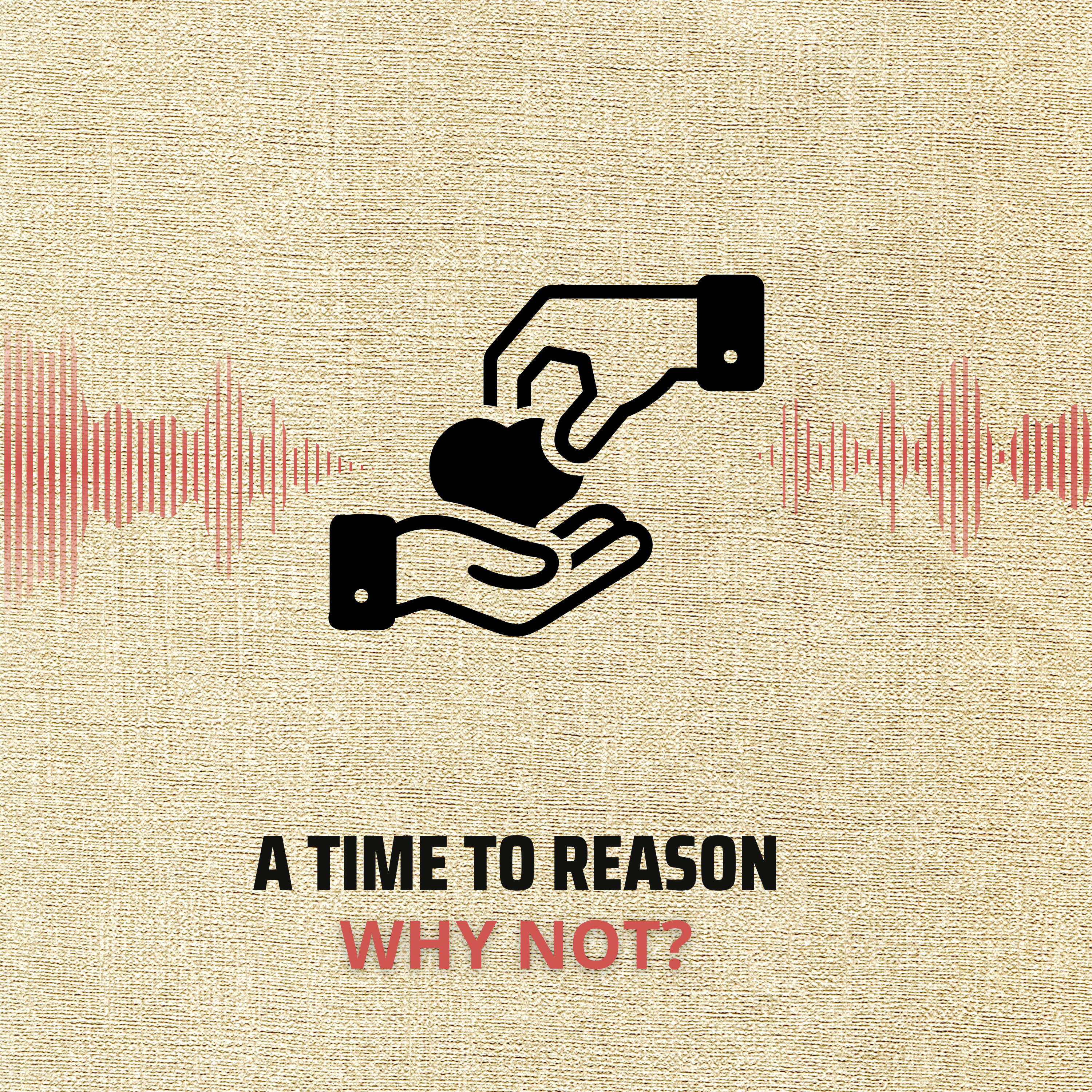 Why Not? episode artwork