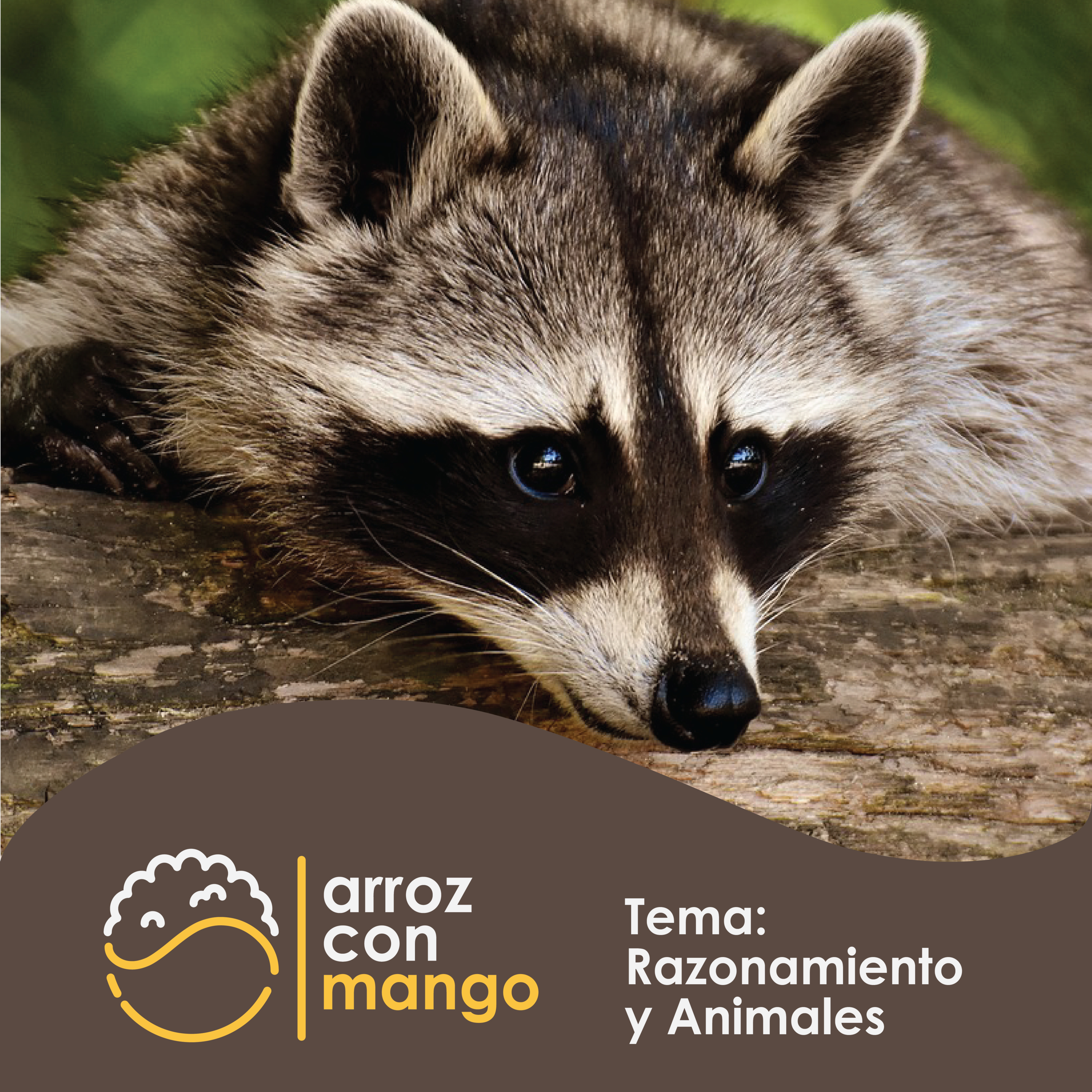 Arroz con Mango