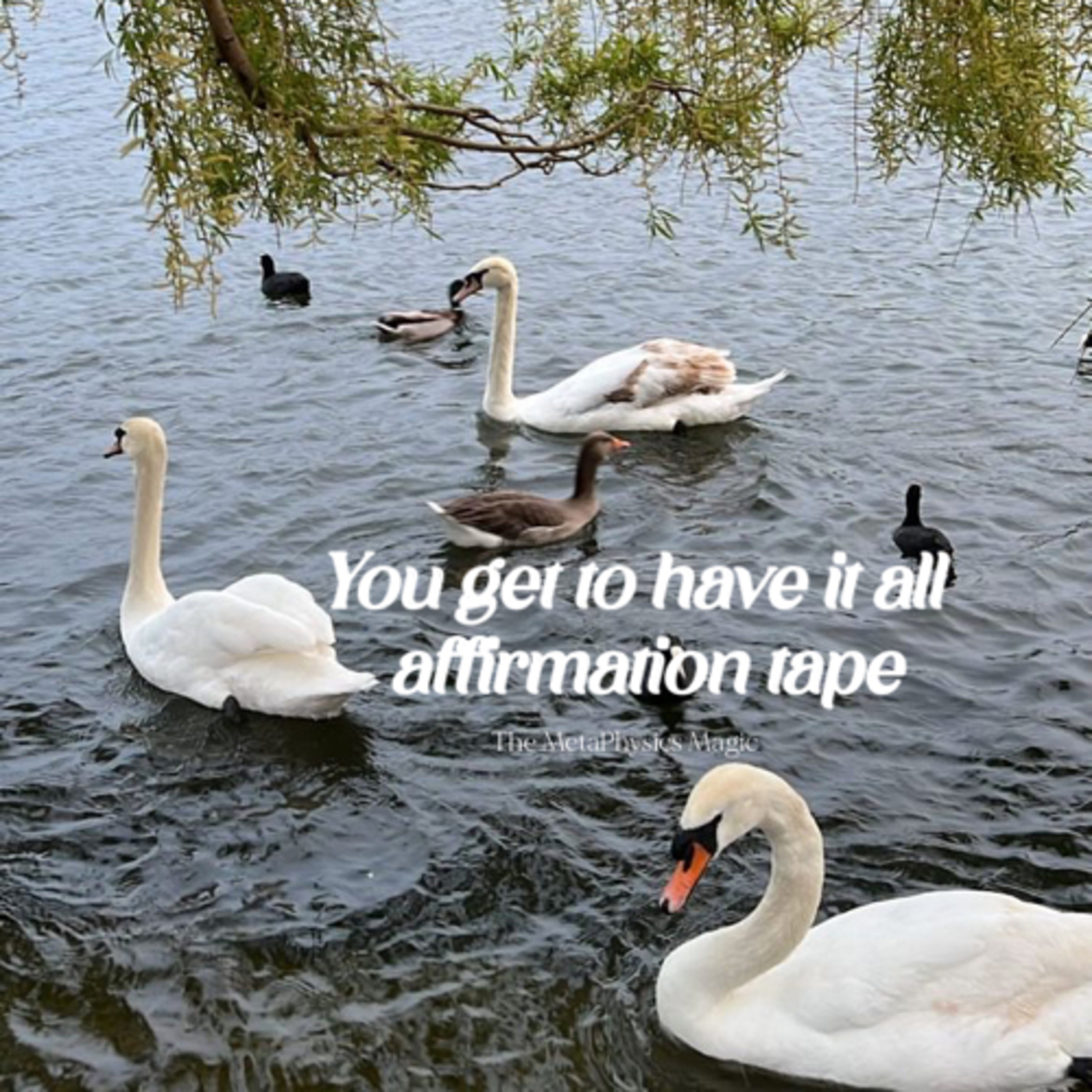 93 | You get to have it all affirmation tape