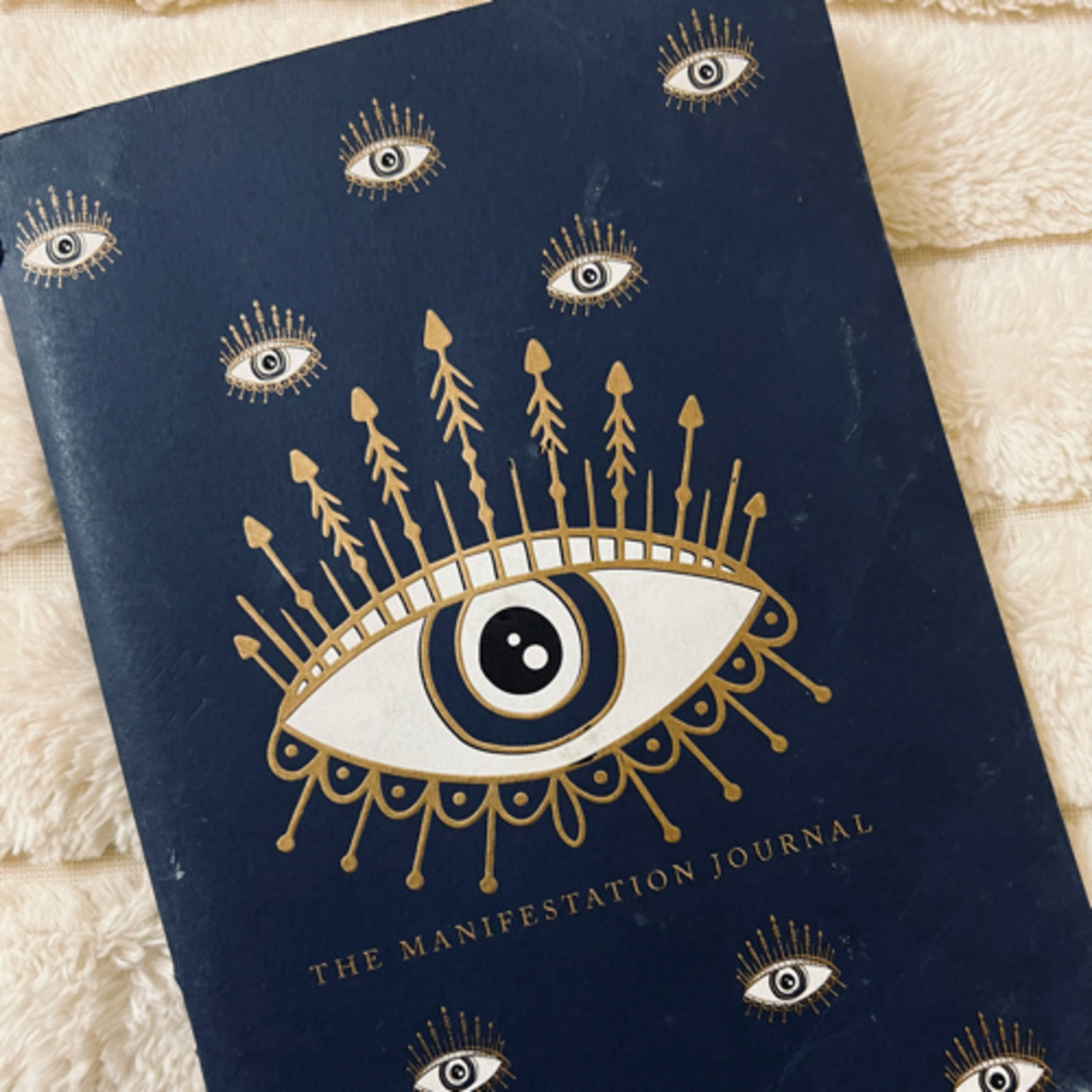 106 | My personal manifestation success stories in detail to inspire you