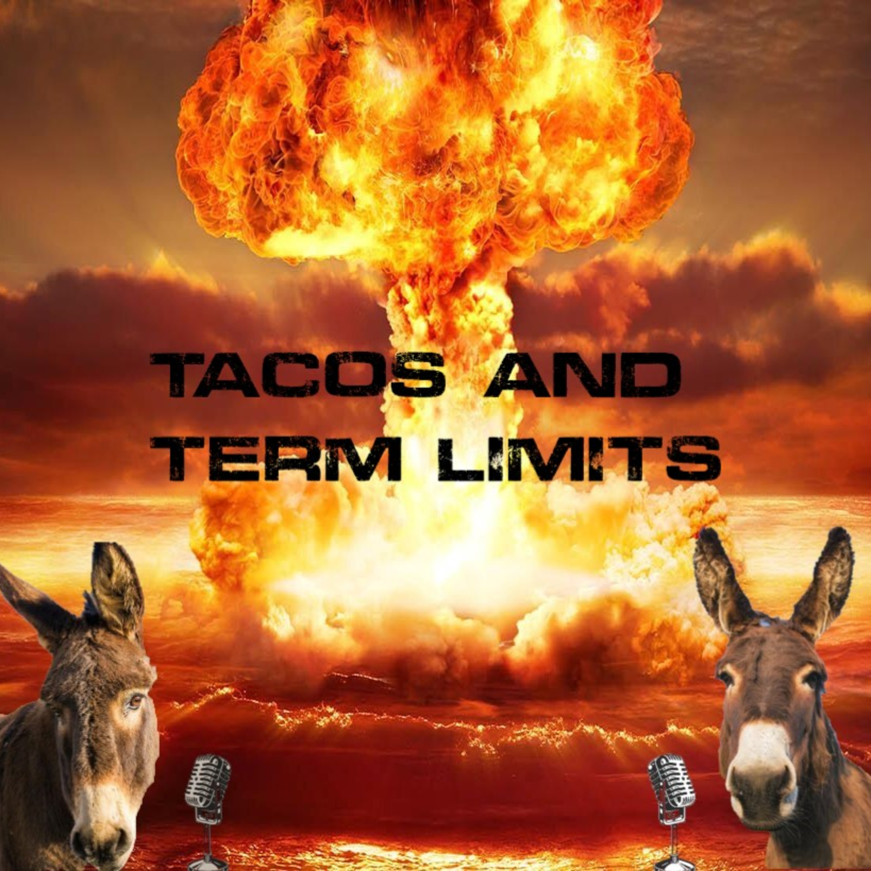 Tacos and Term Limits episode artwork