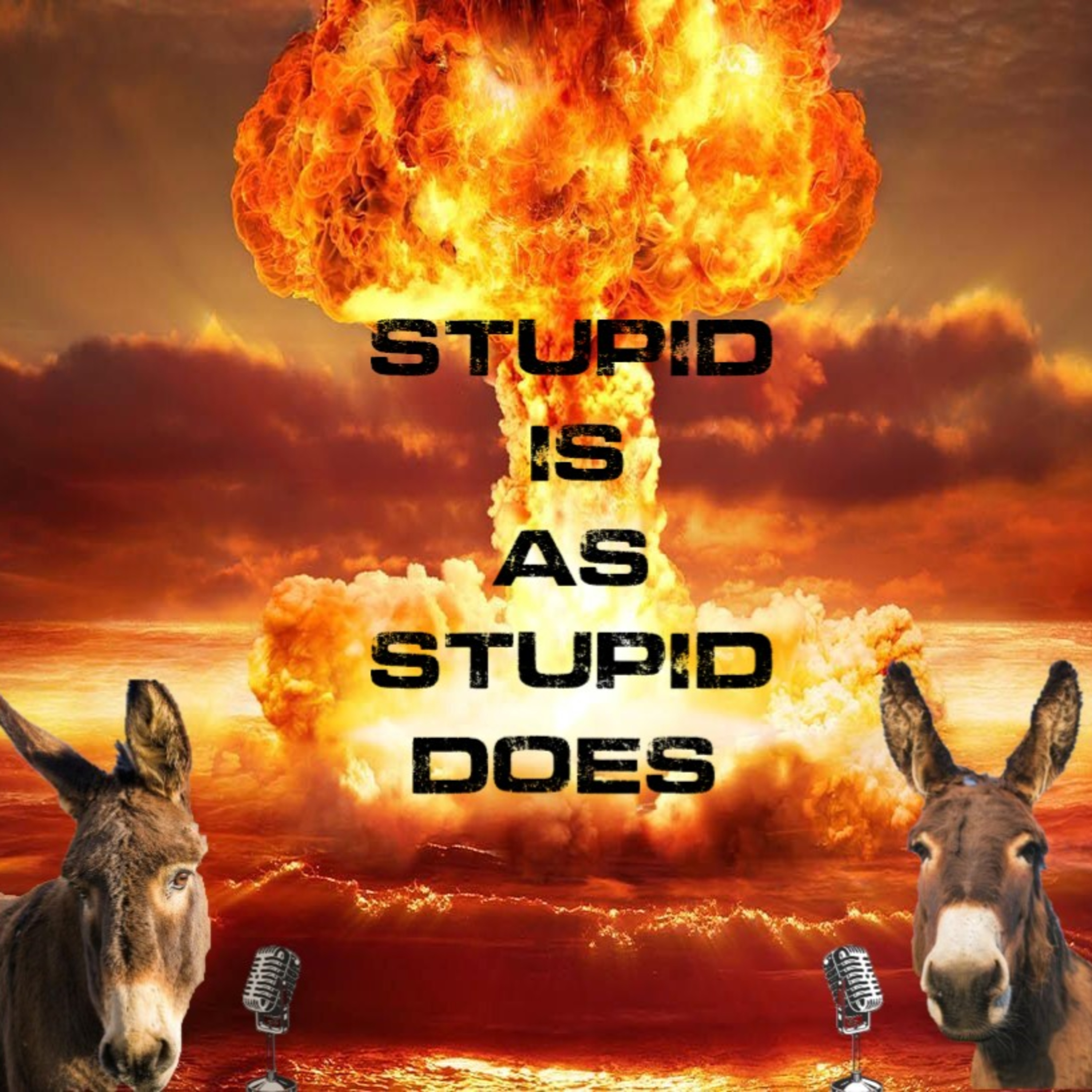 Stupid is as stupid does episode artwork