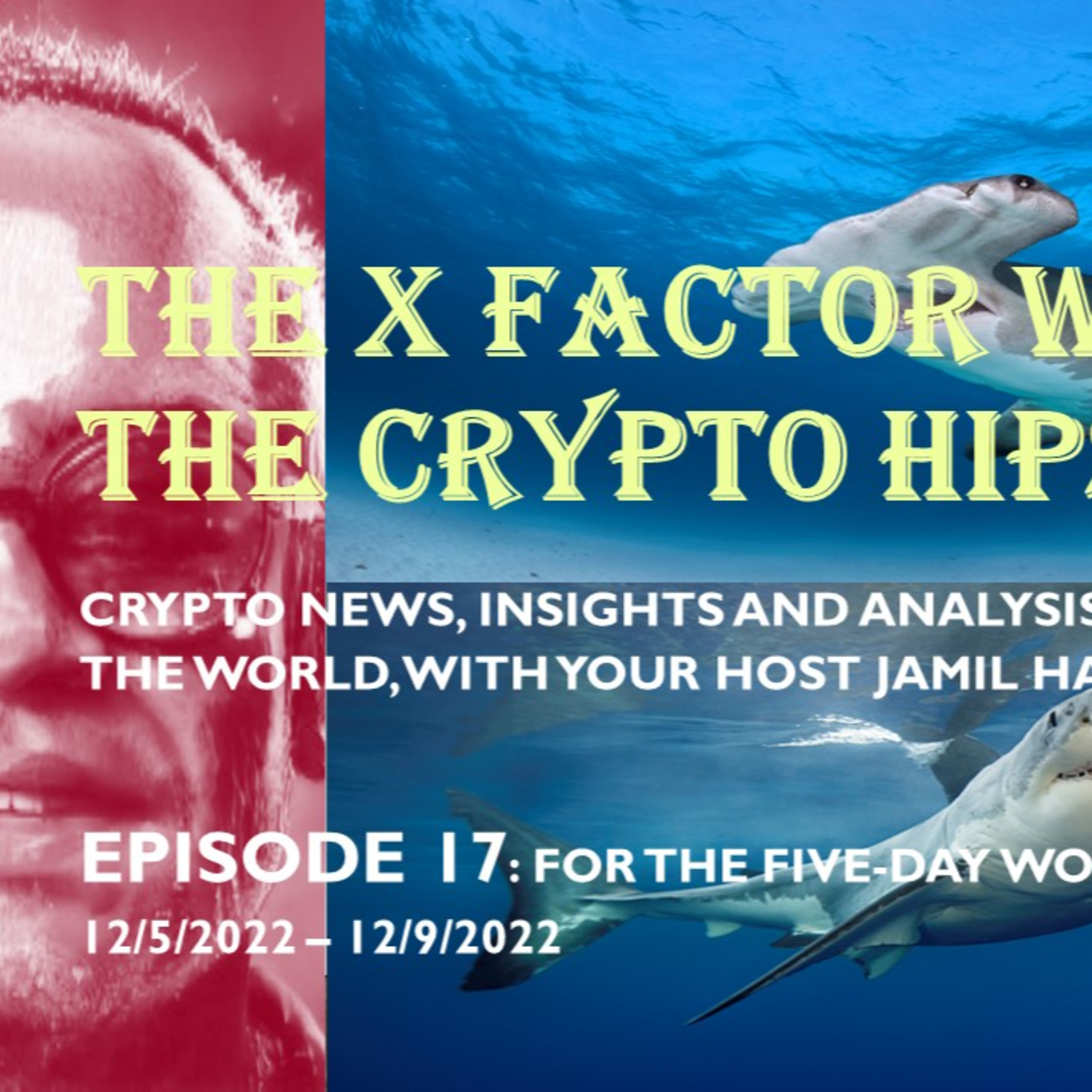 The X-Factor with the Crypto Hipster, Episode 17, for the week 12/05/2022 through 12/09/2022