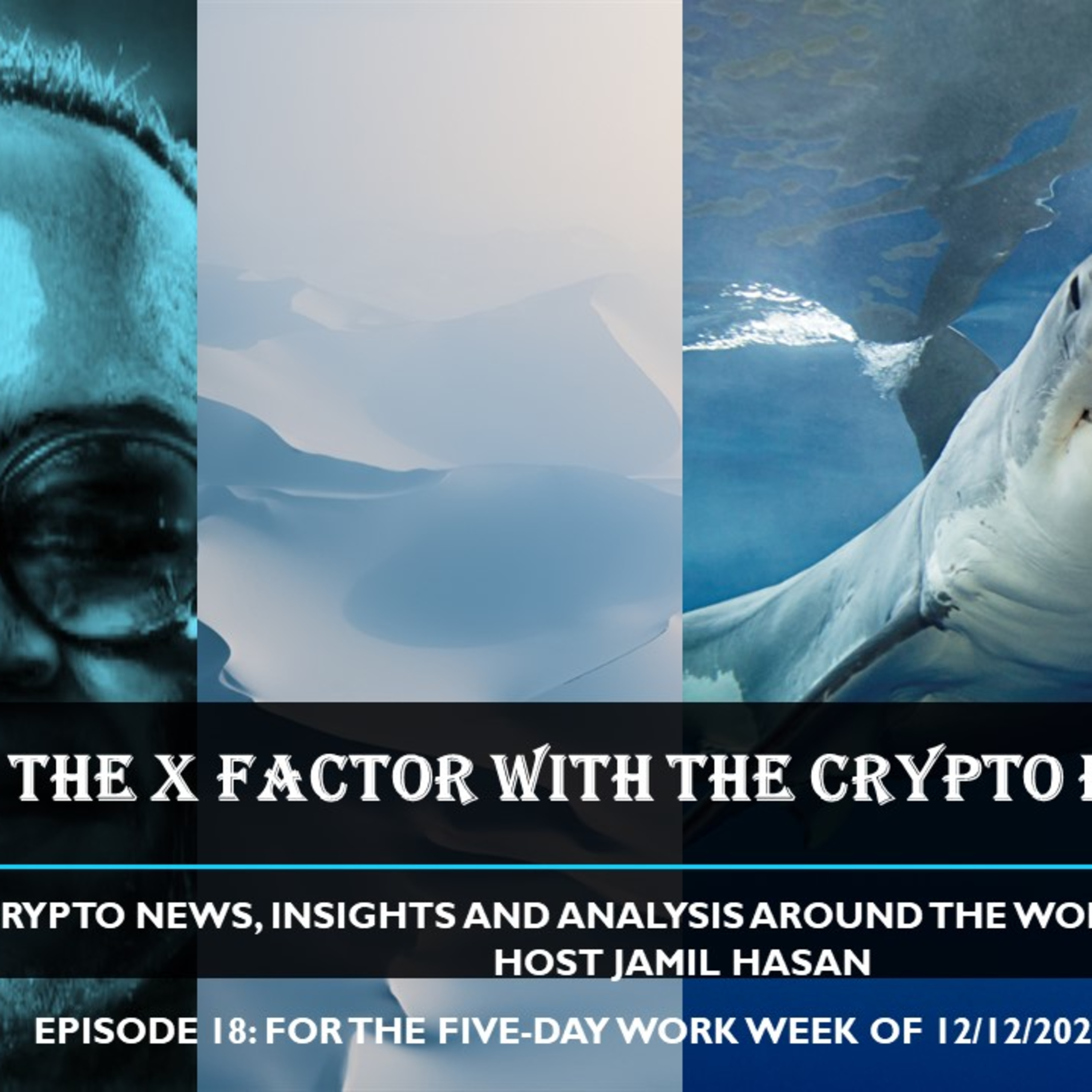 The X-Factor with the Crypto Hipster, Episode 18, for the week ending 12162022