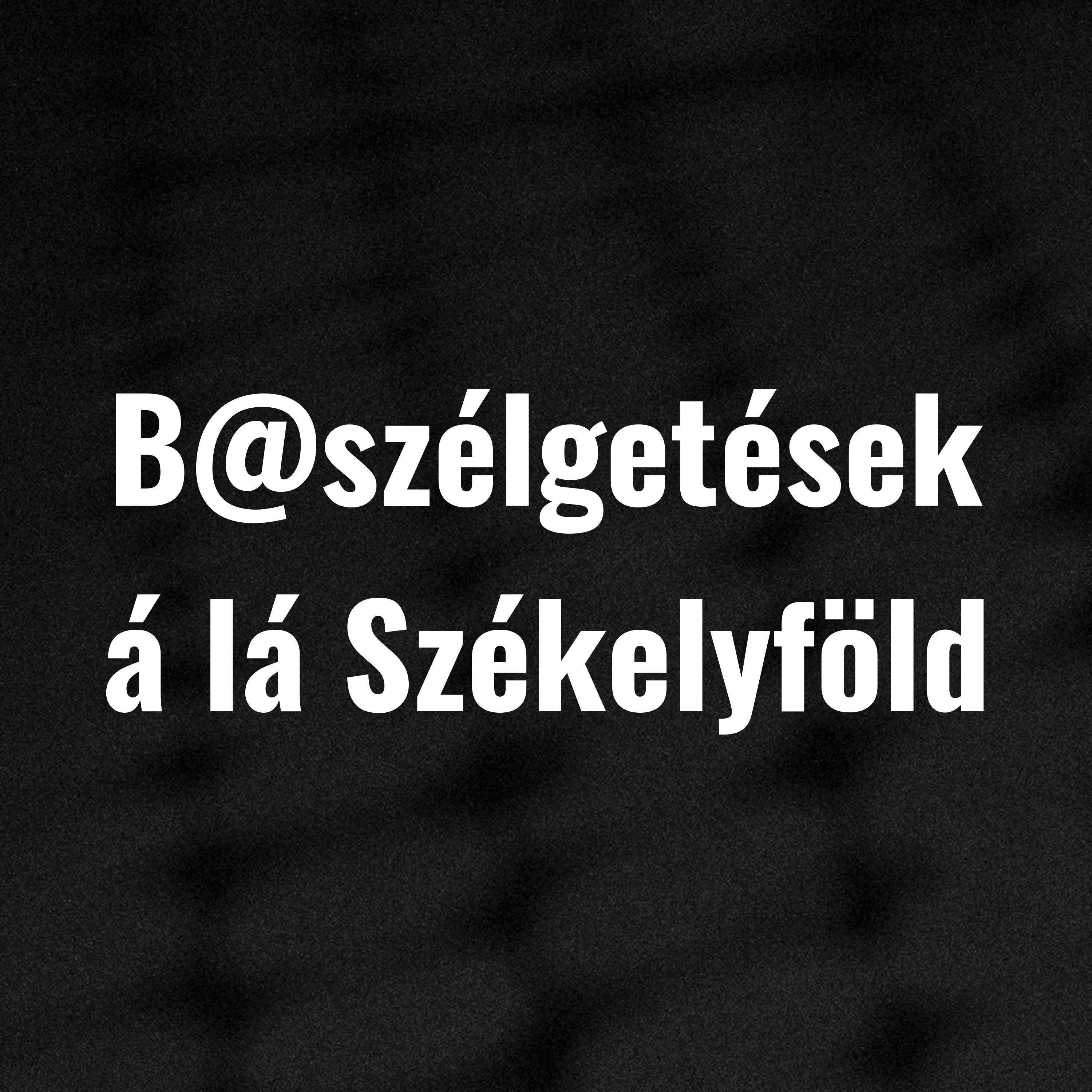 Harminc év vállalkozóként - Székelyföldön episode artwork