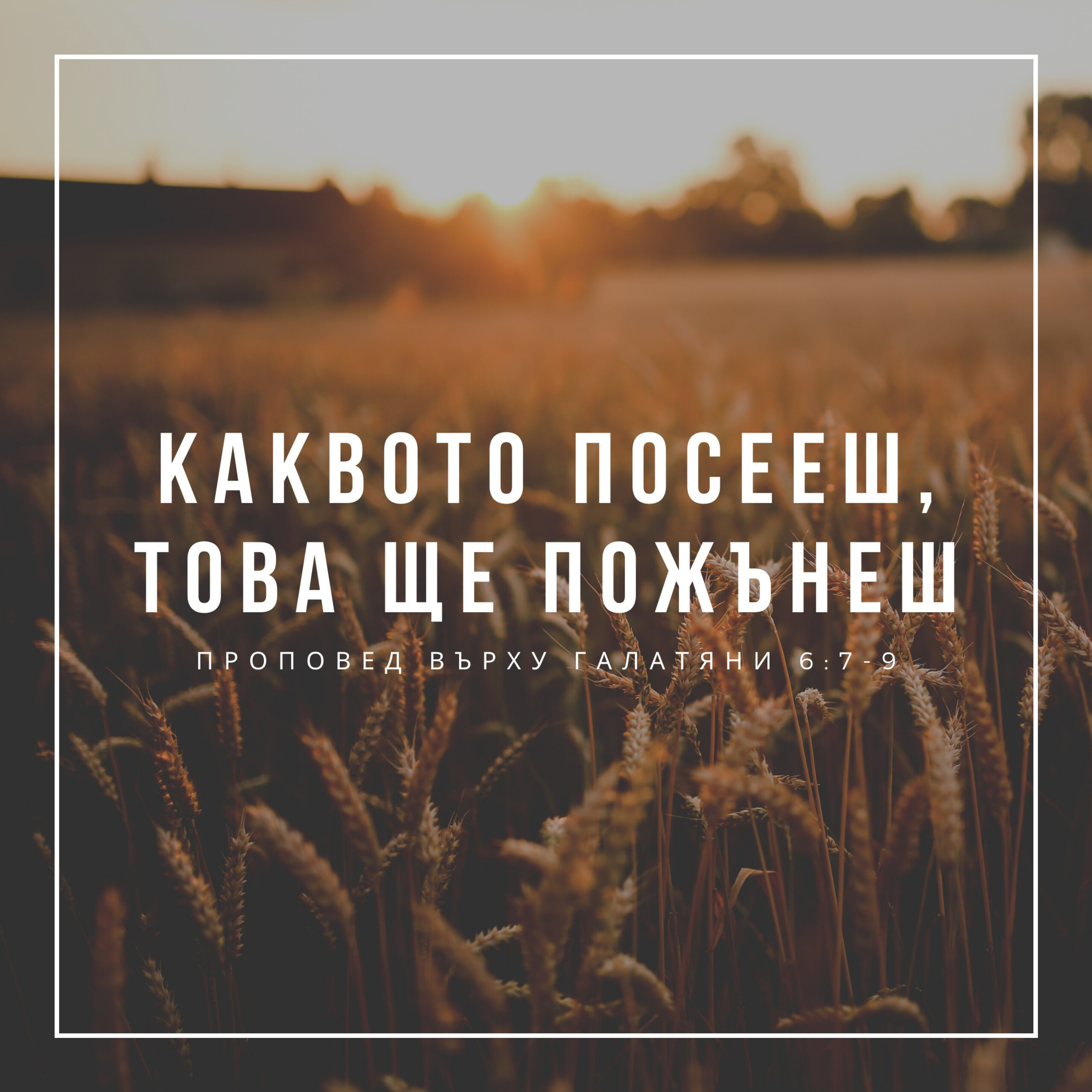 Каквото посееш, това ще пожънеш (Галатяни 6:7-9) episode artwork