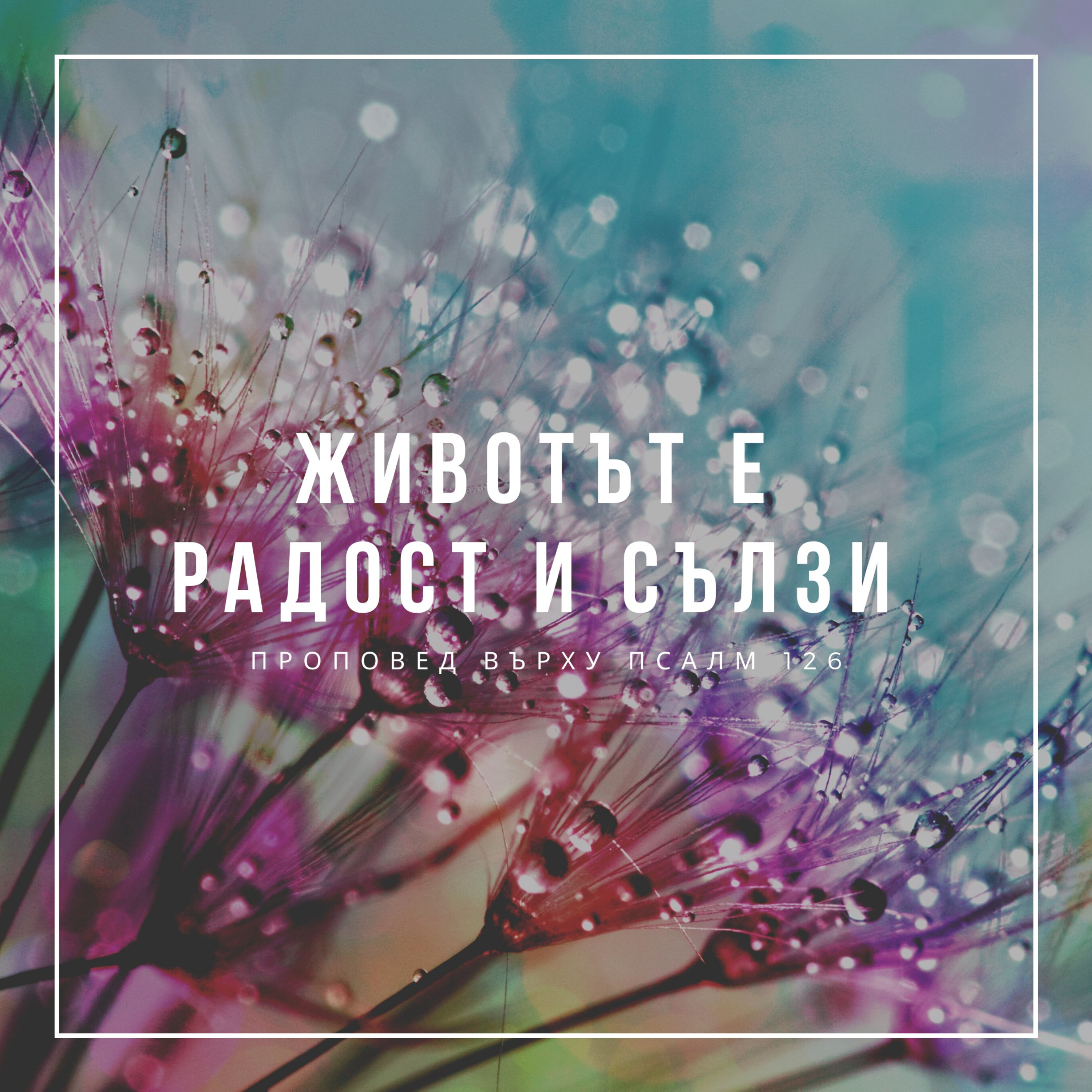 Животът е радост и сълзи (Псалм 126) episode artwork