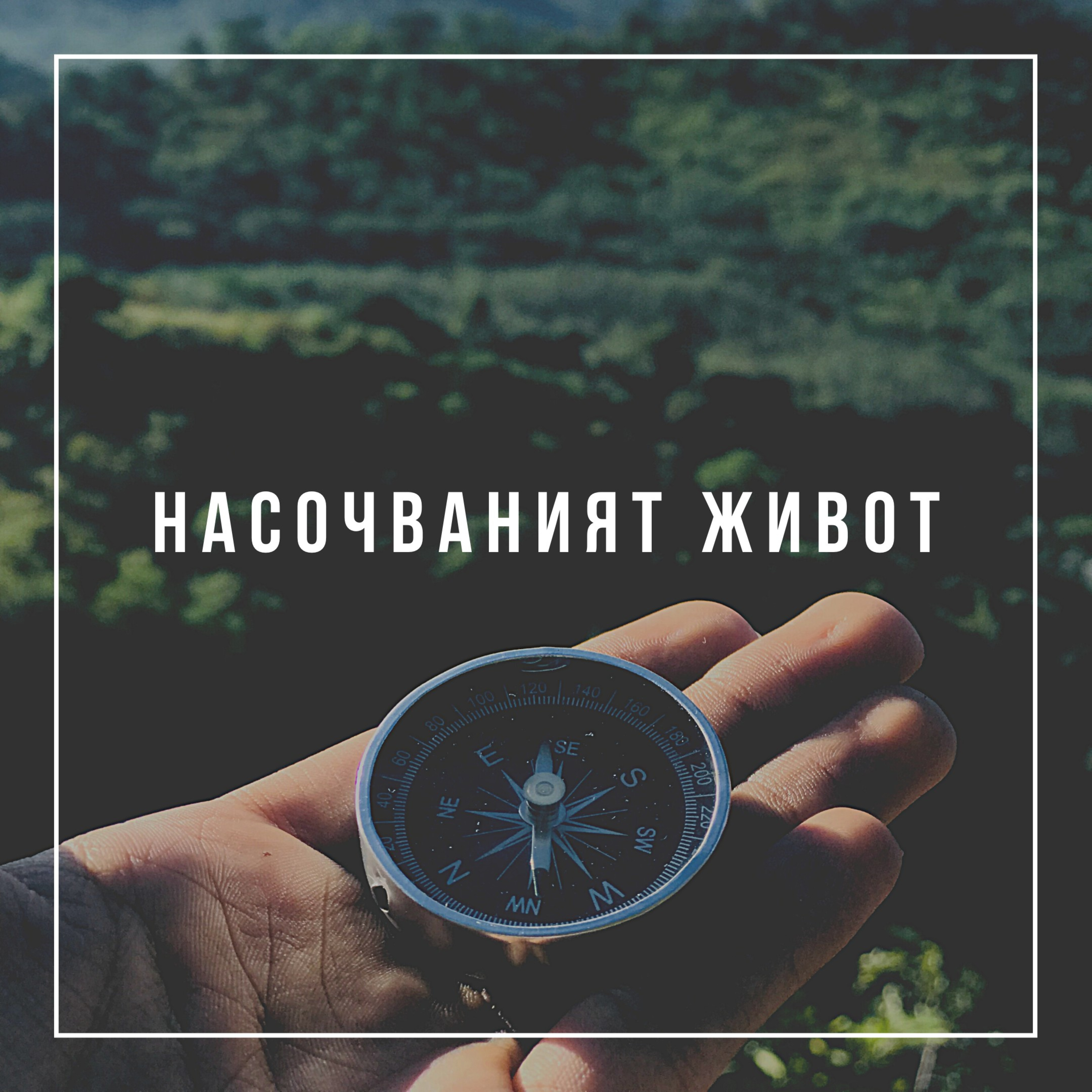 Насочваният живот episode artwork