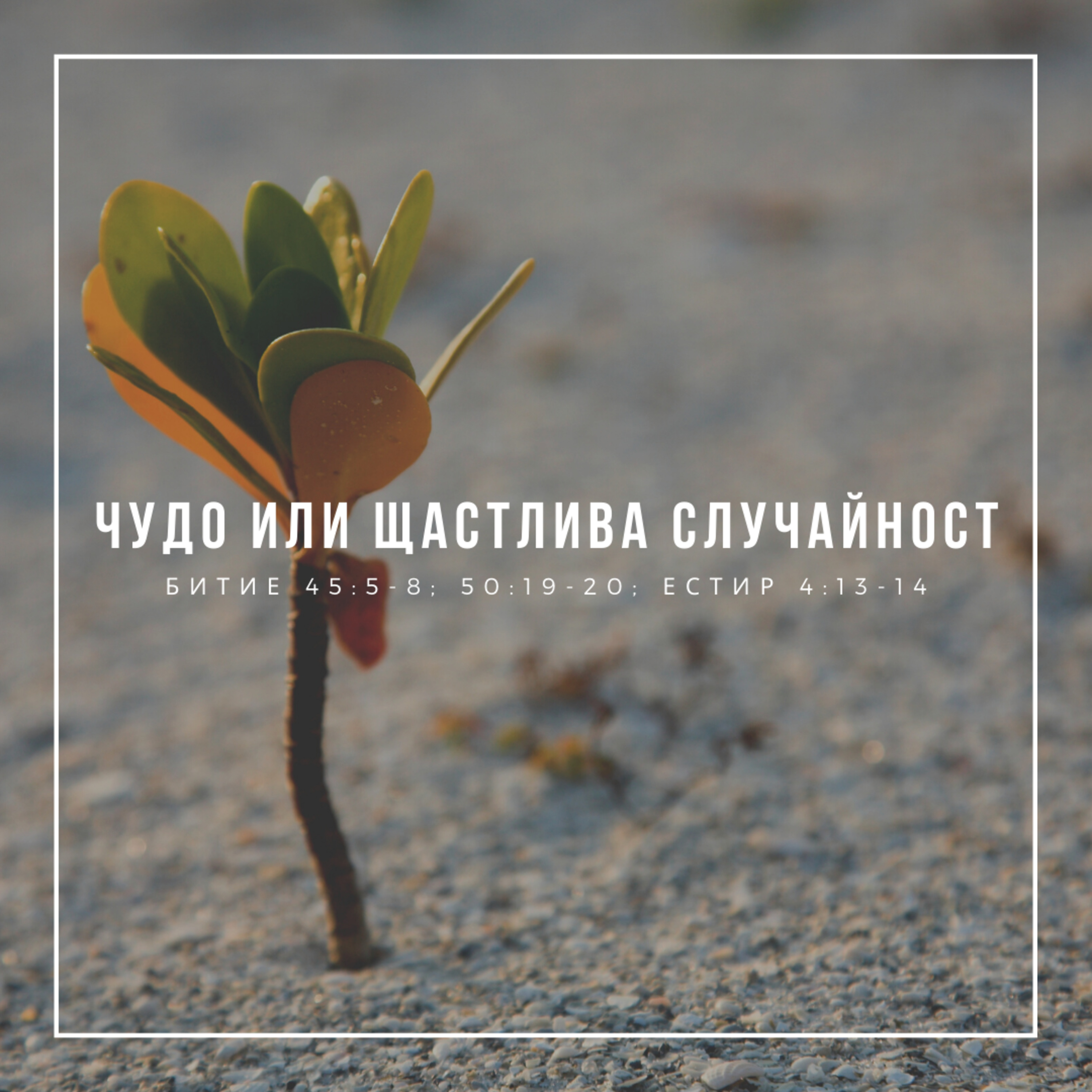 Чудо или щастлива случайност  episode artwork