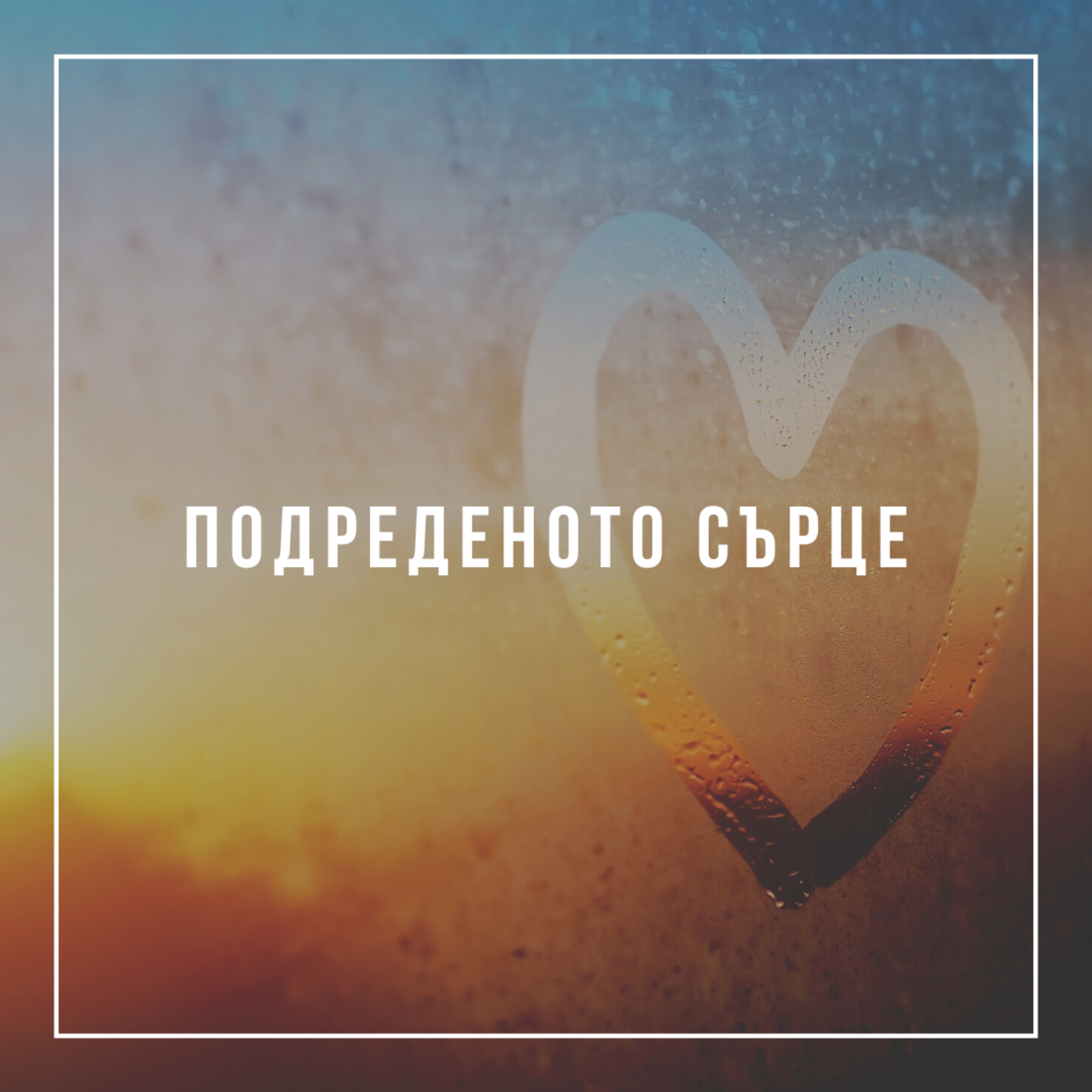 Добре подреденото сърце  episode artwork