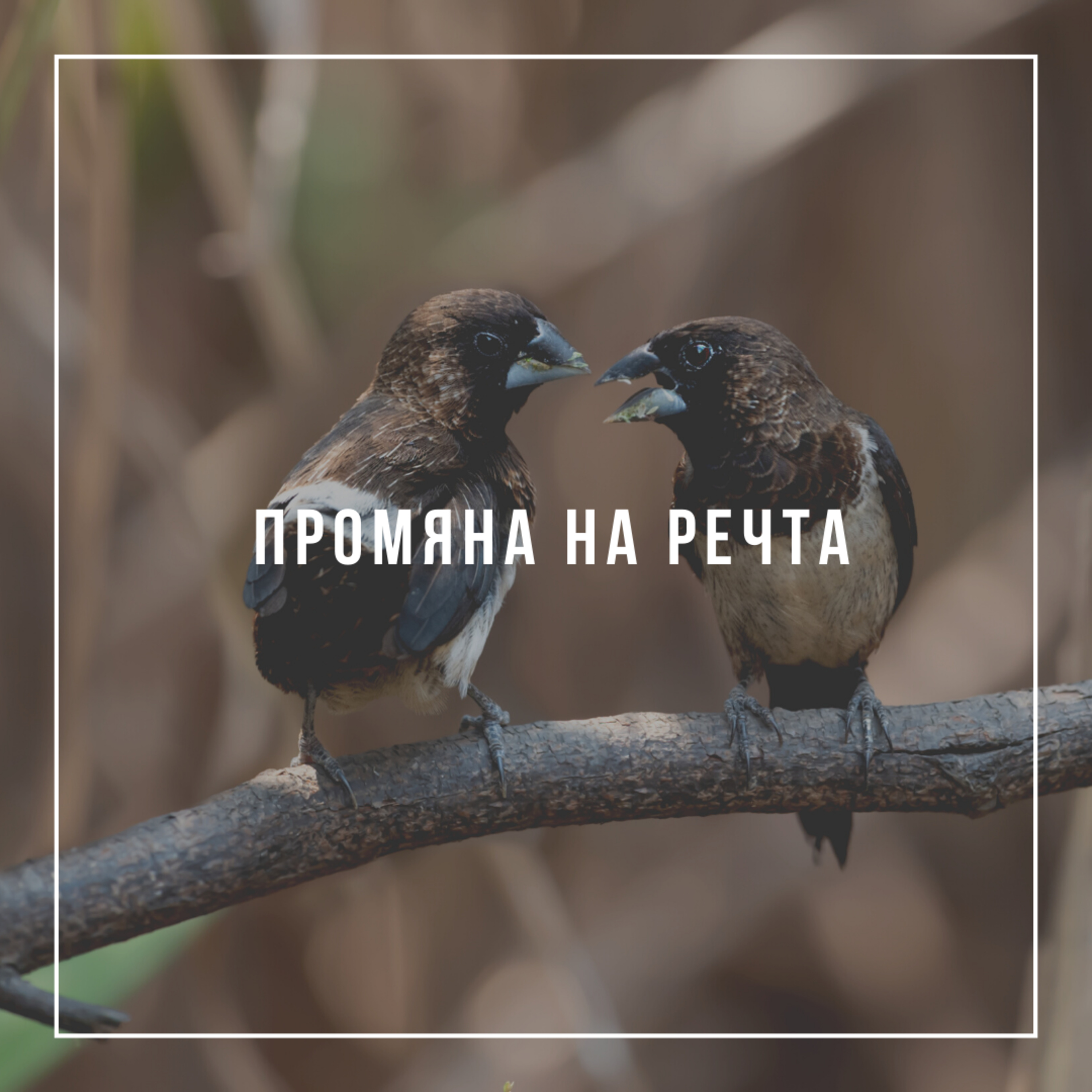 Промяна на речта  episode artwork