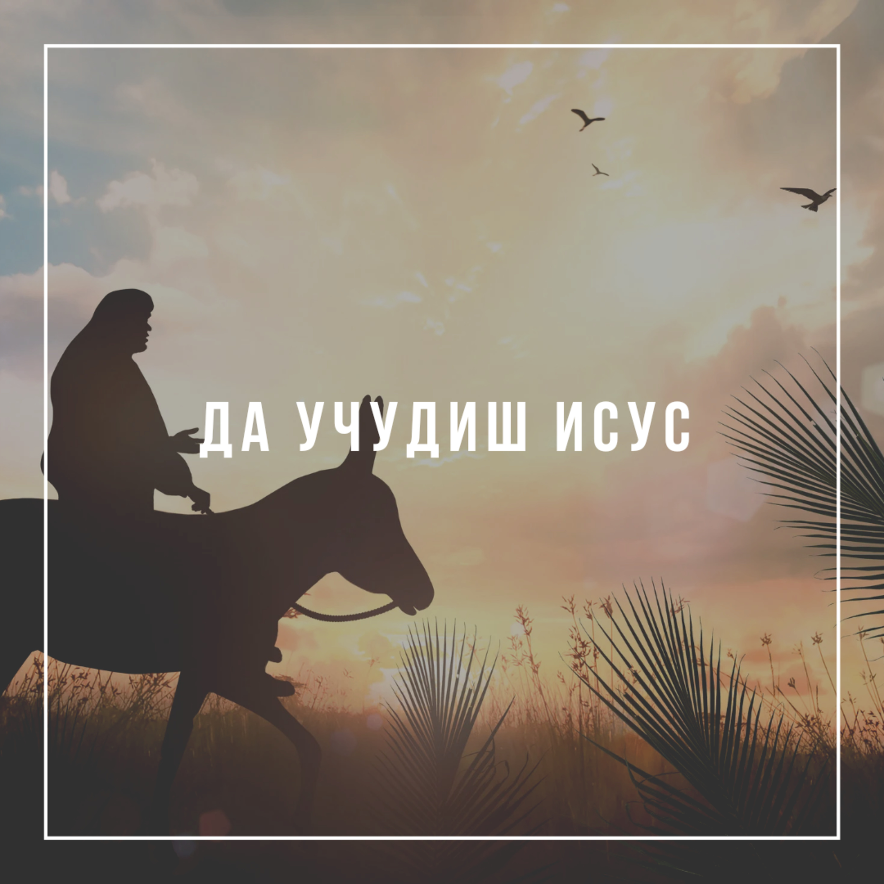 Да учудиш Исус  episode artwork